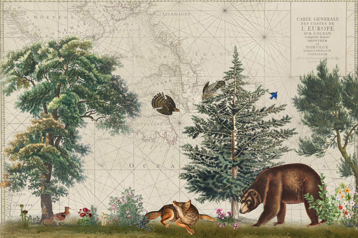 Nordic Woods 5 Poster och Canvastavla