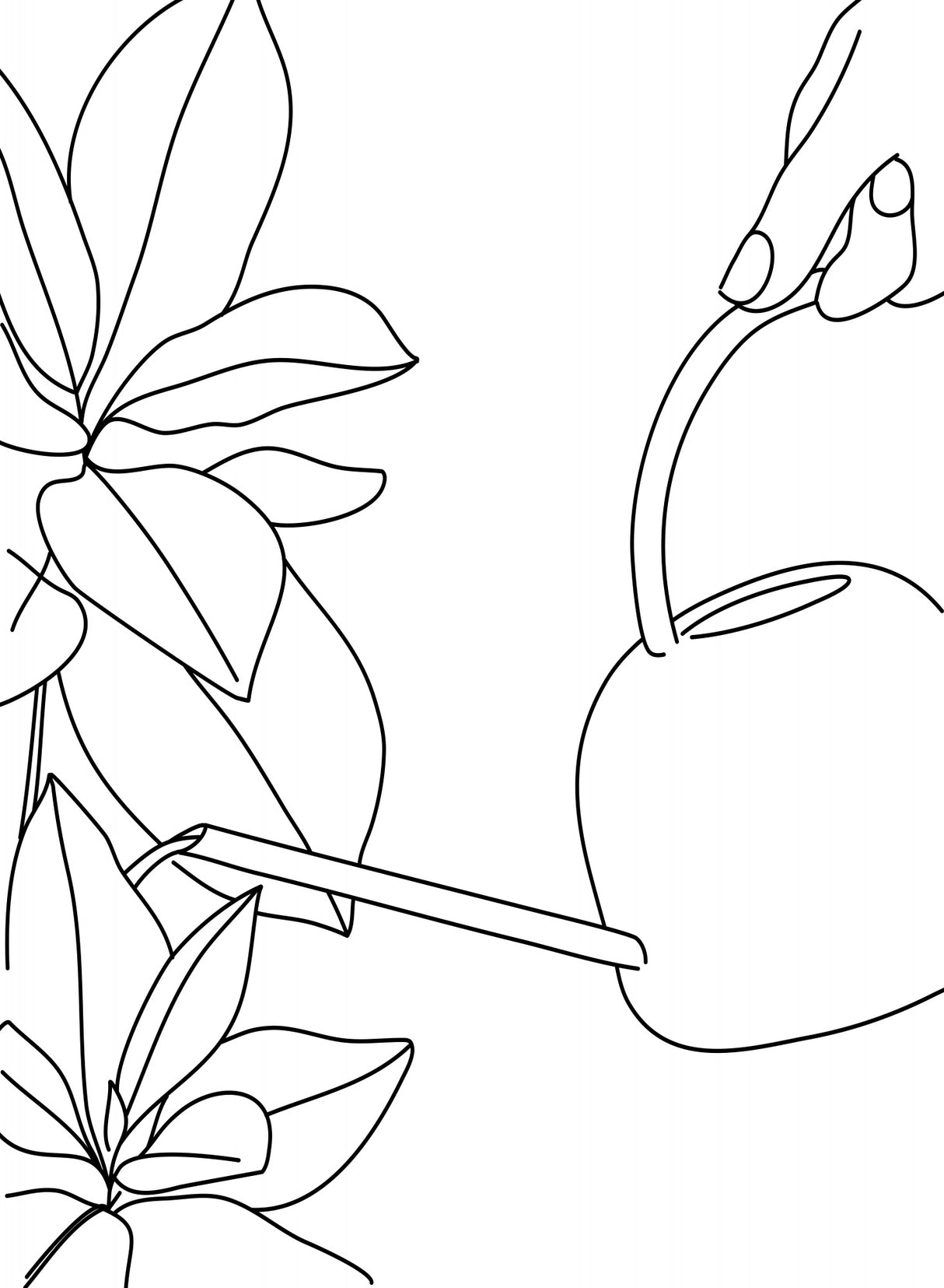 The watering can Poster och Canvastavla