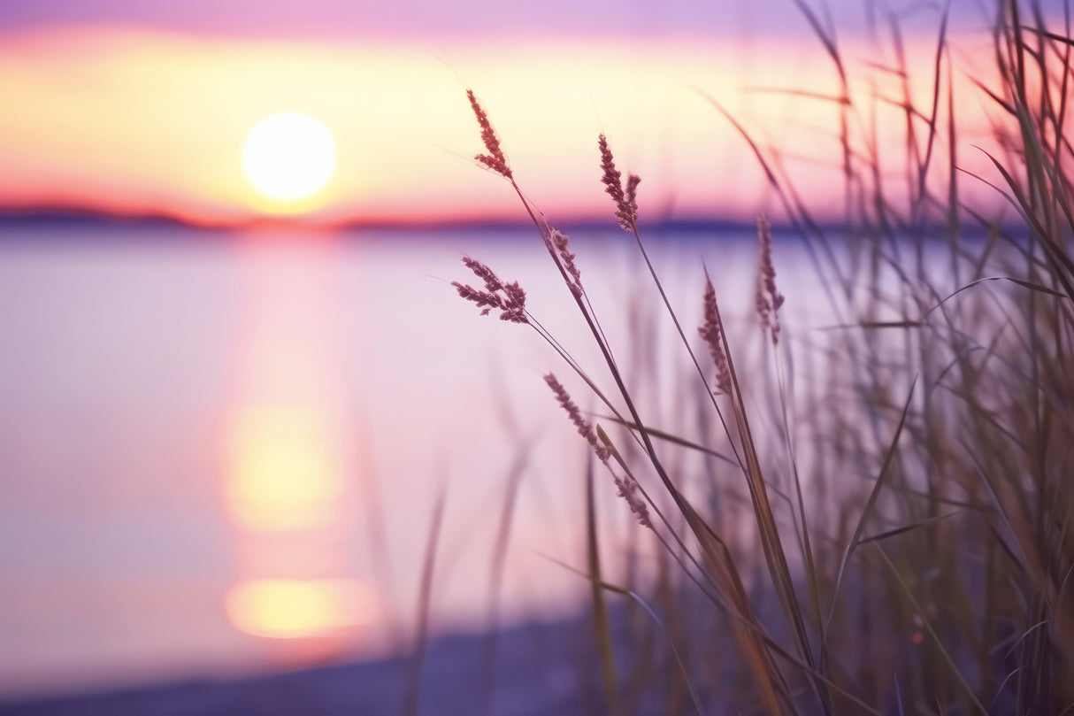 Purple Sunset Poster och Canvastavla