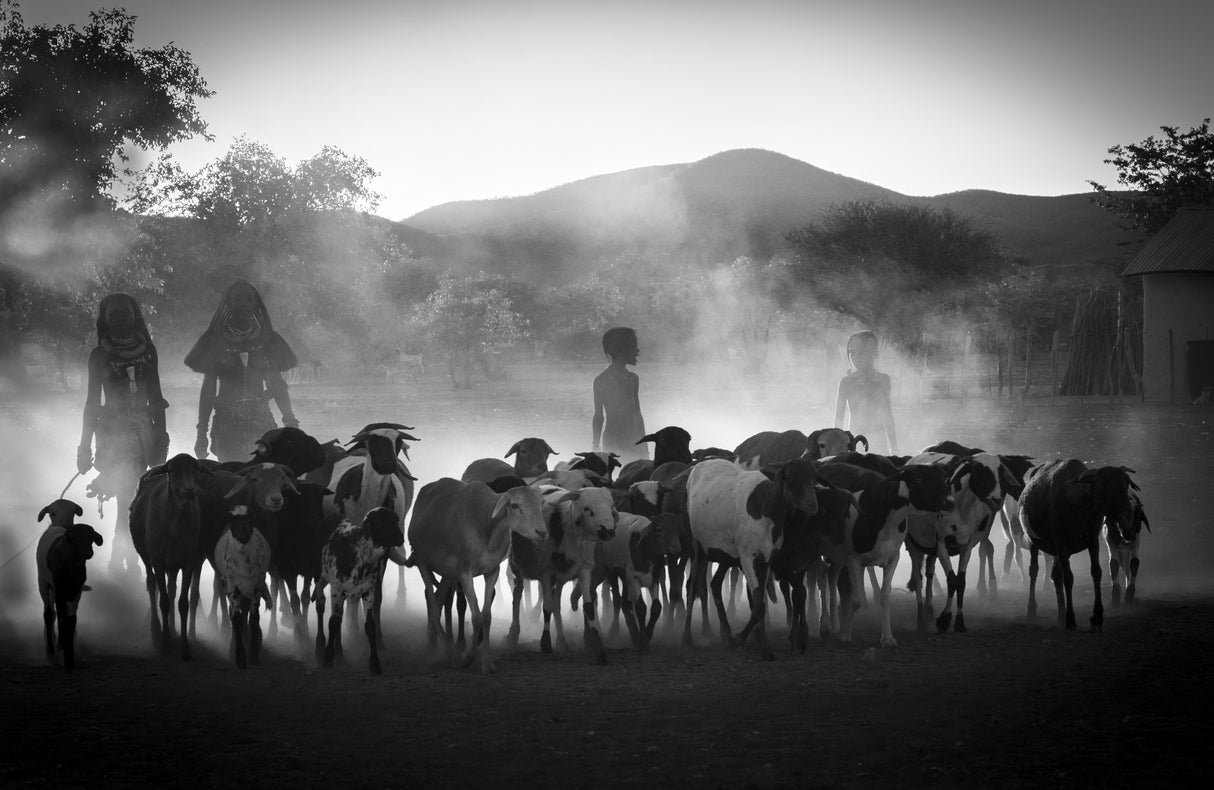 Him children returning from herding Poster och Canvastavla