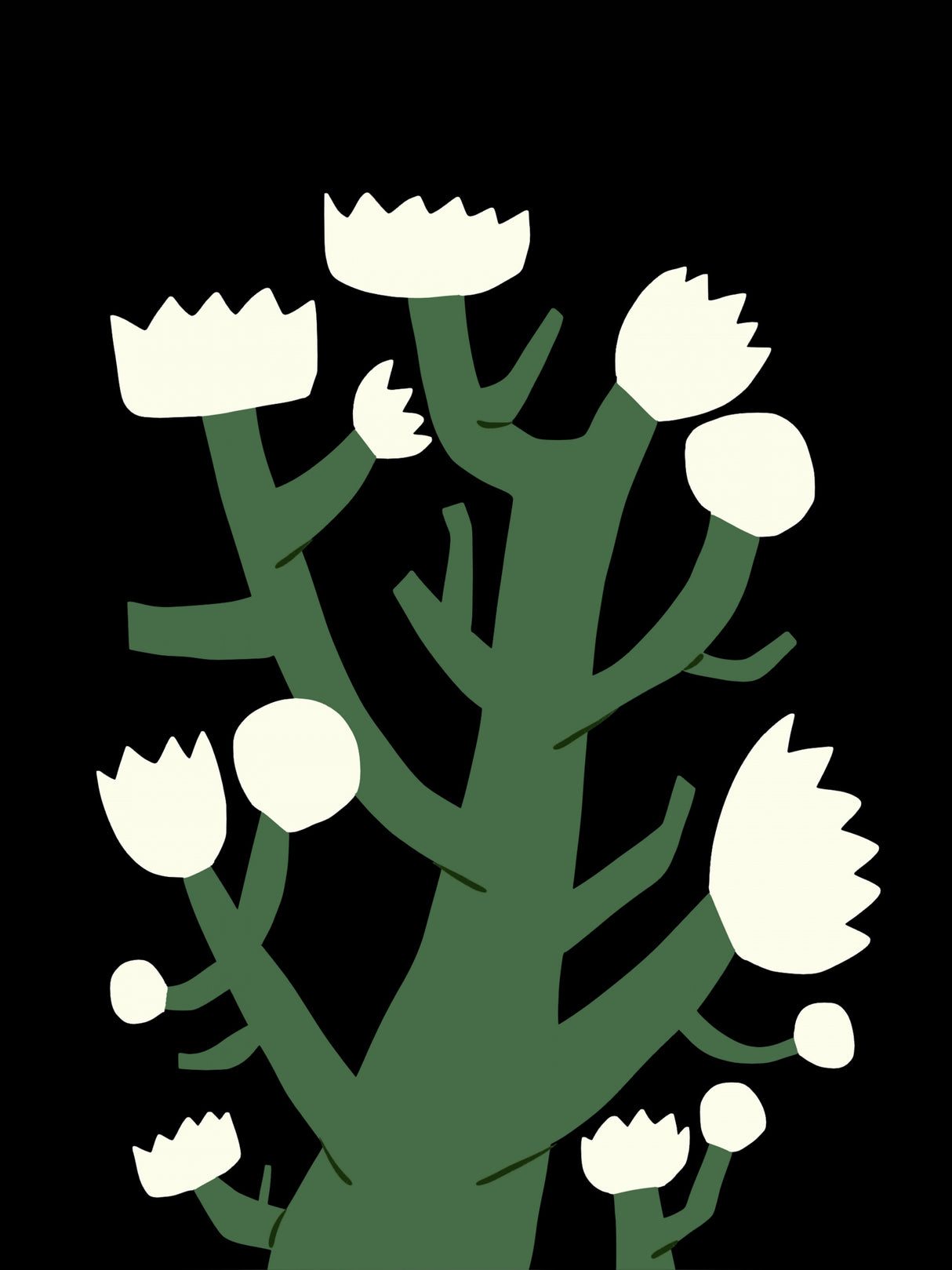 White Bloom Poster och Canvastavla
