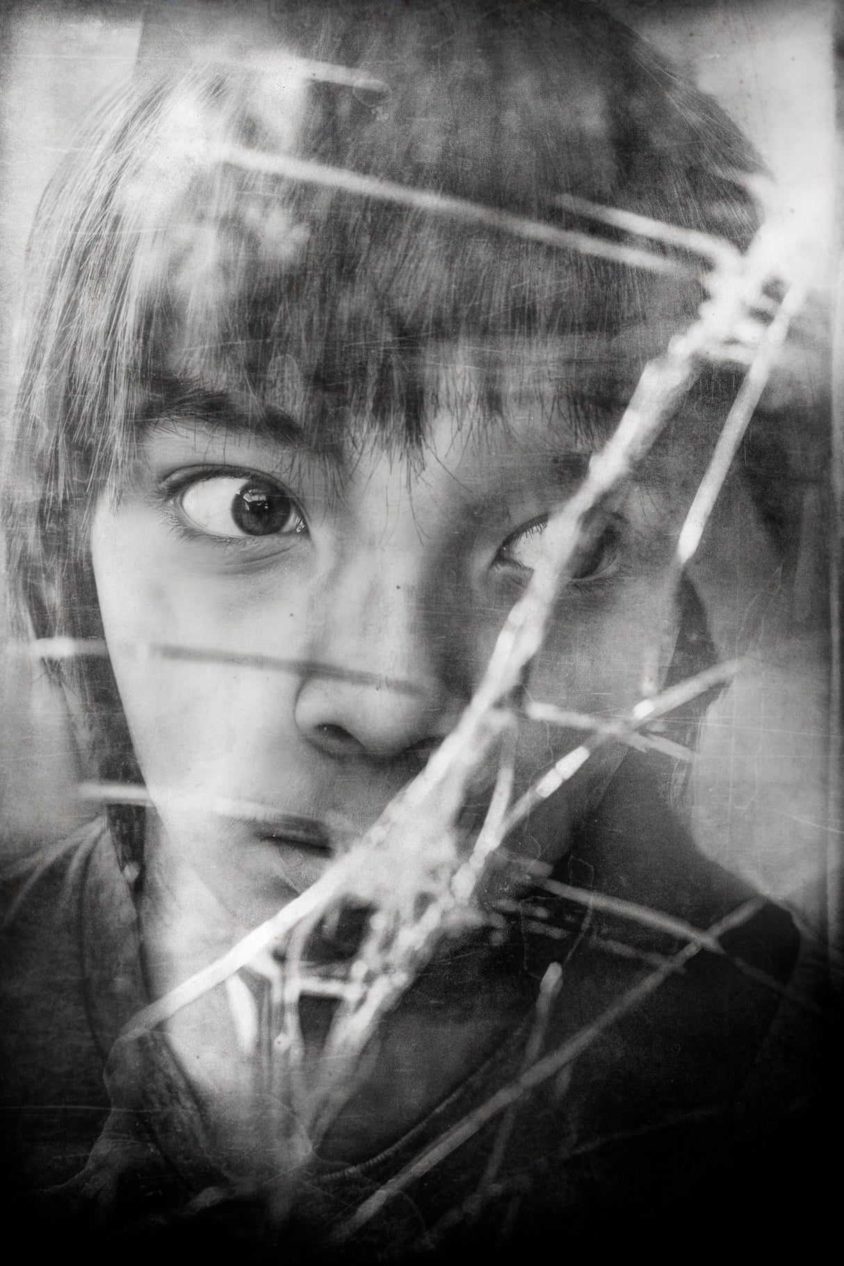 piercing gaze Poster och Canvastavla