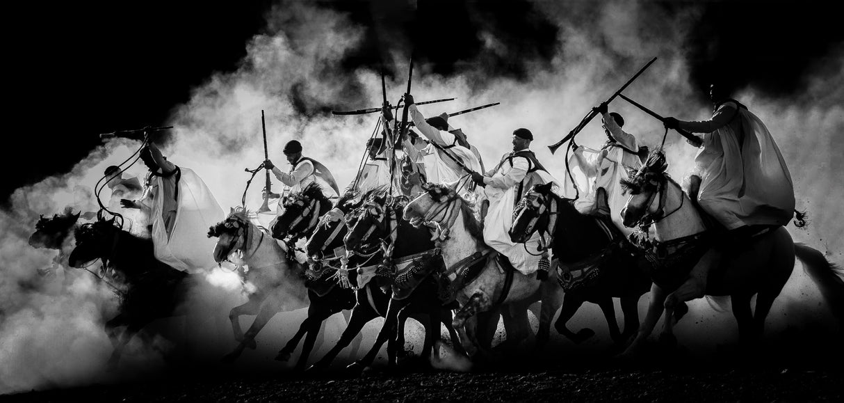b w horse Poster och Canvastavla