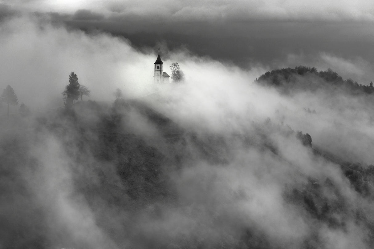 Fog Poster och Canvastavla