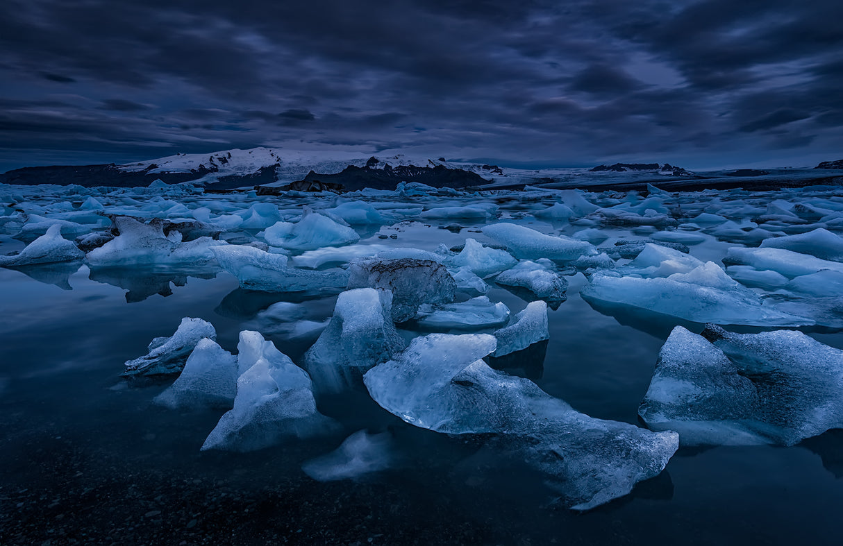 Icebergs at dawn Poster och Canvastavla