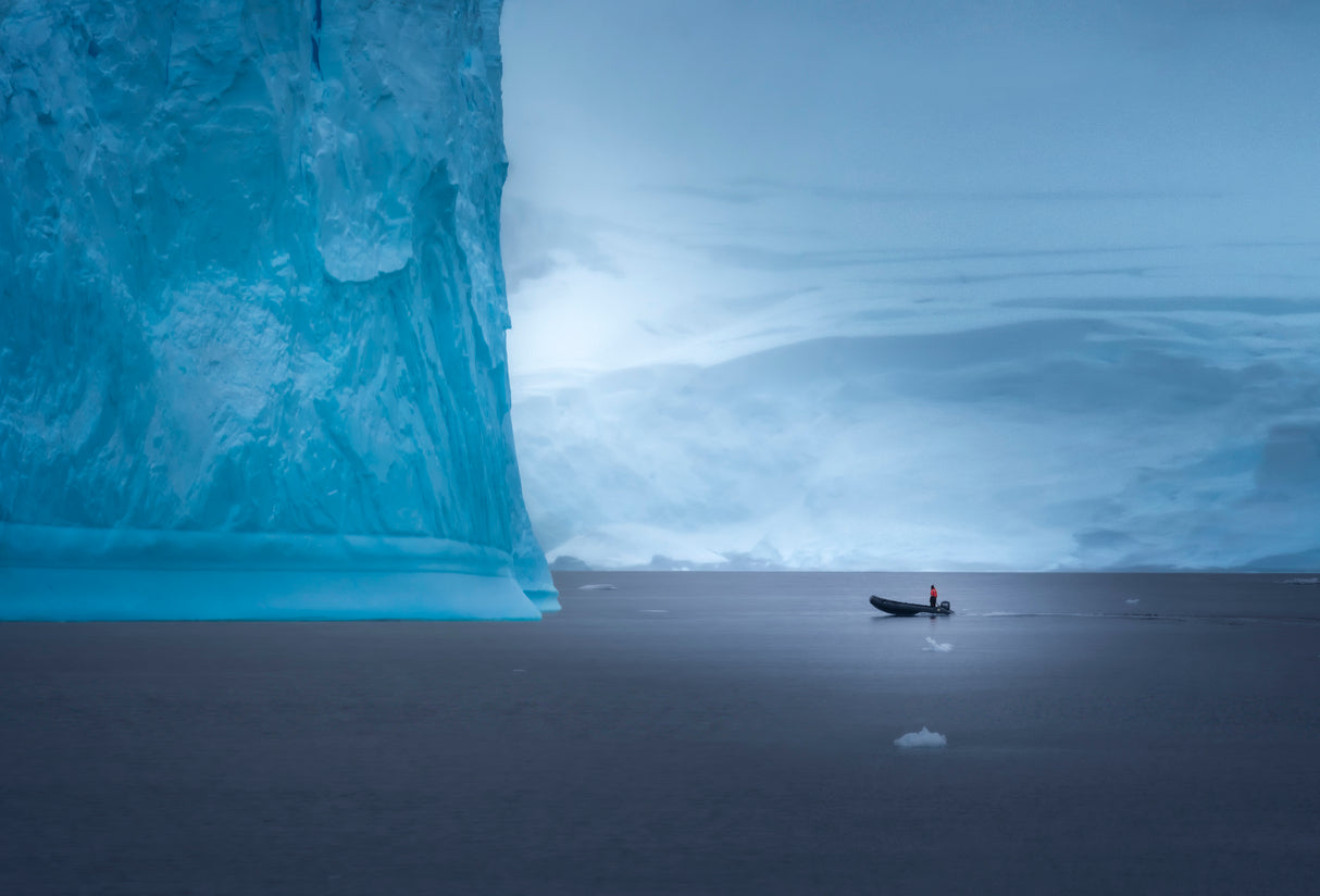 Facing an Iceberg Poster och Canvastavla