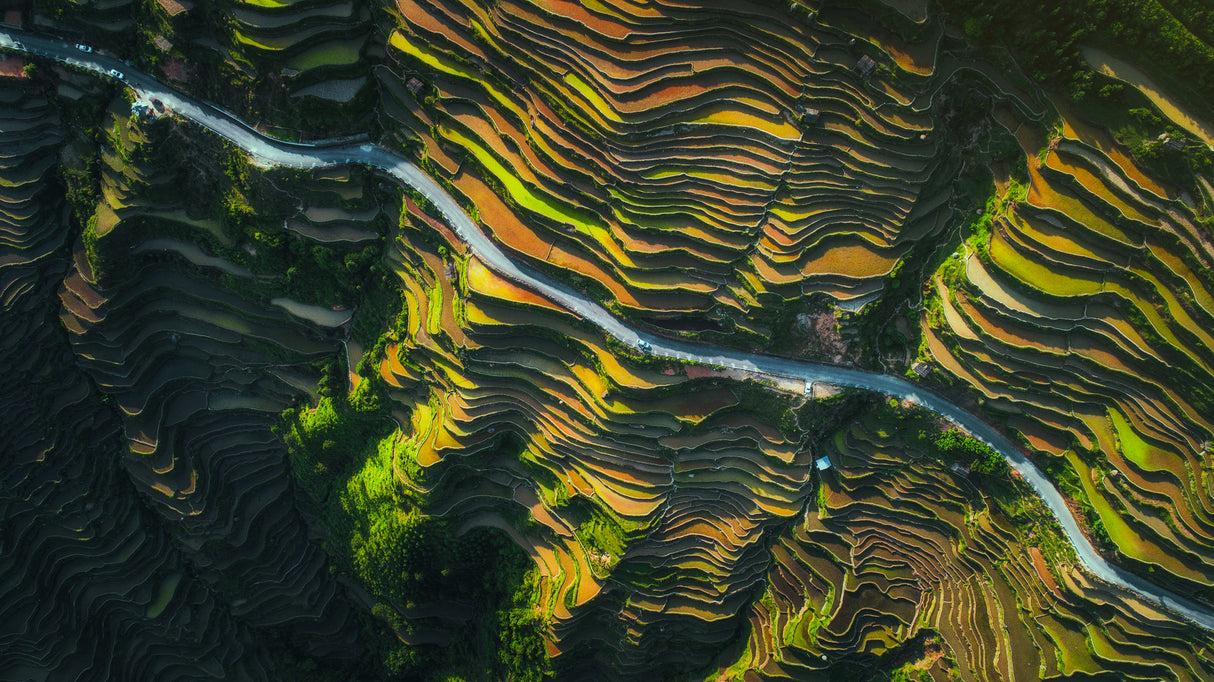 The way of terraced fields Poster och Canvastavla