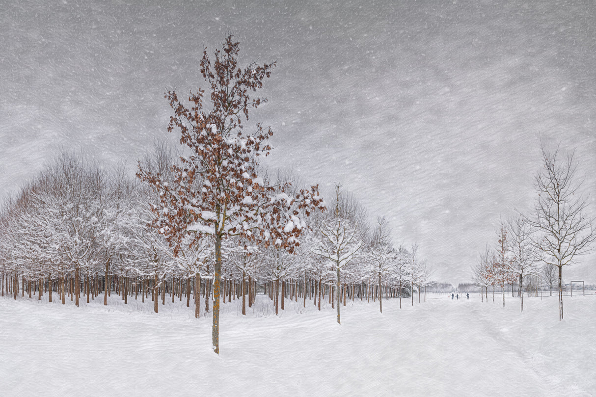 Winter countryside Poster och Canvastavla