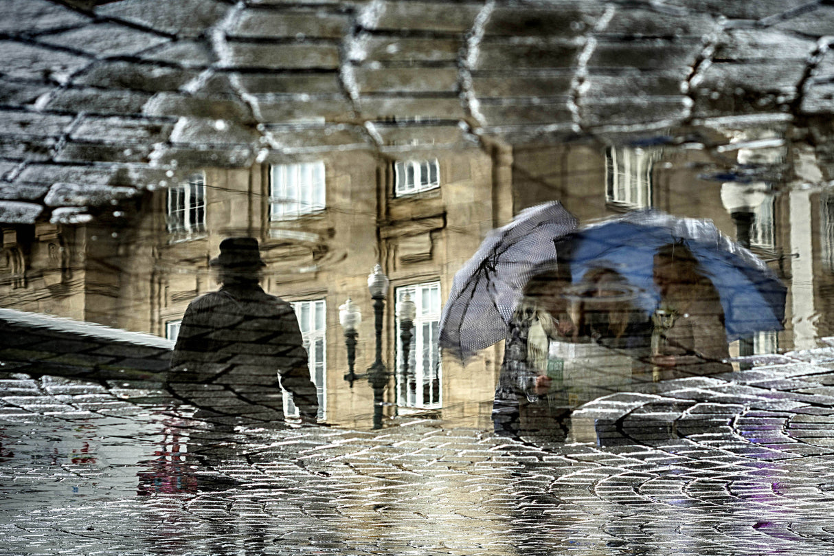 Rainy days Poster och Canvastavla