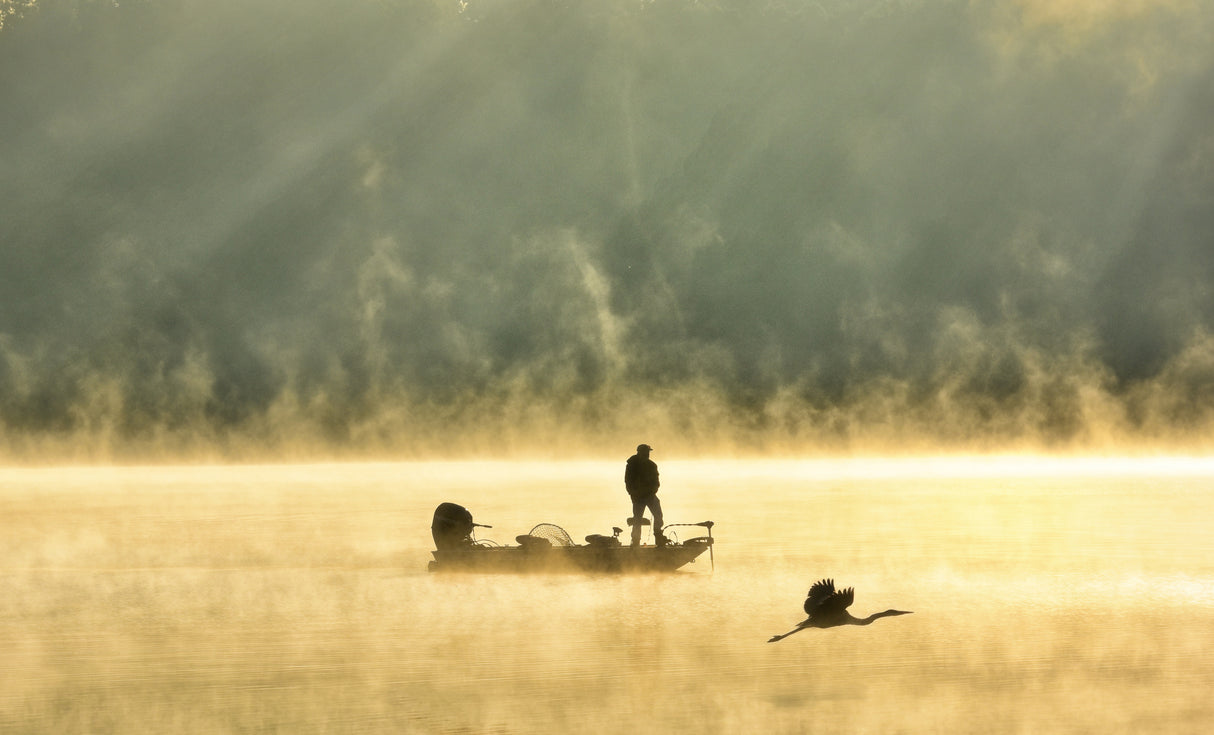 A good fishing day Poster och Canvastavla