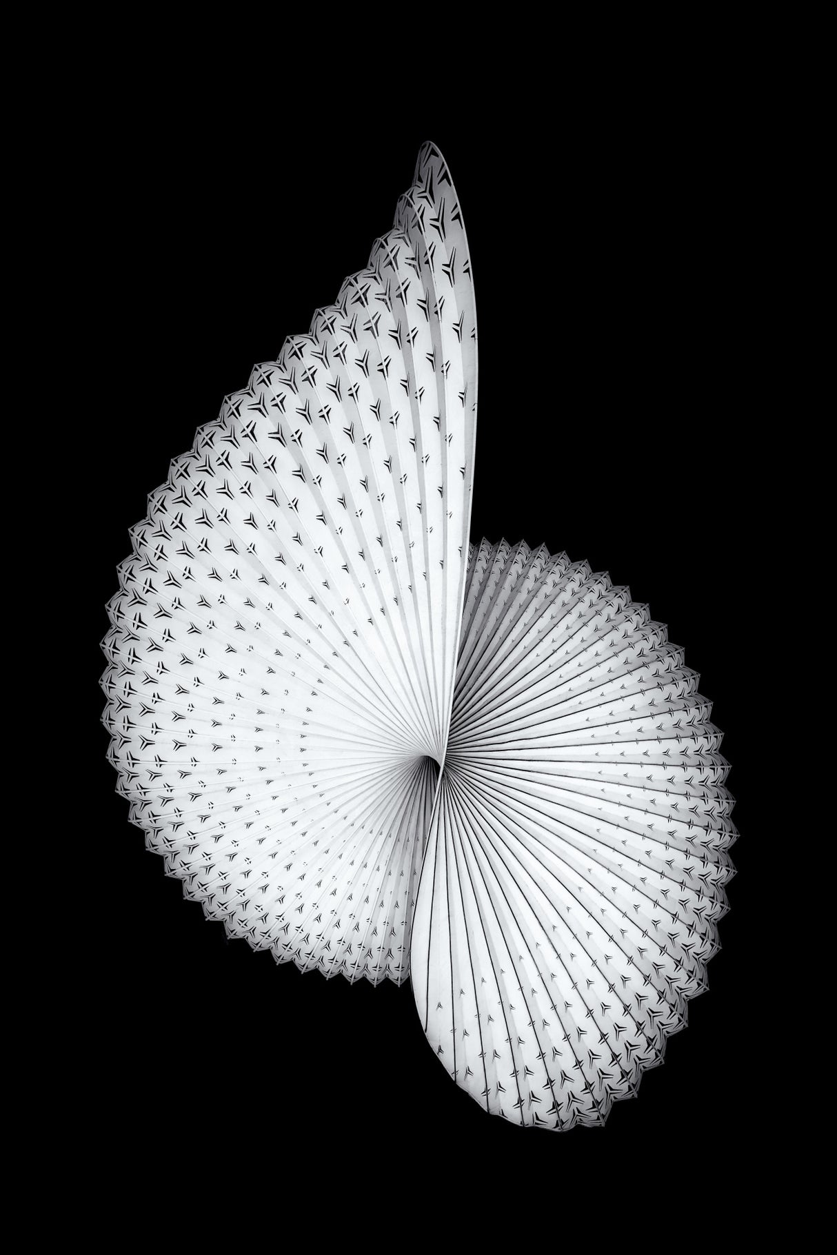Nautilus-like Sculpture Poster och Canvastavla