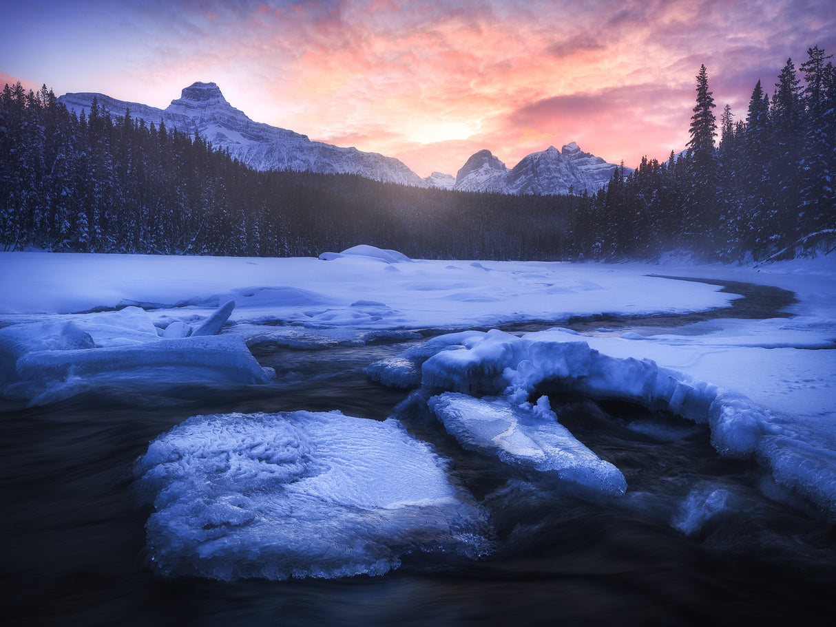 Frozen Wonderland Poster och Canvastavla