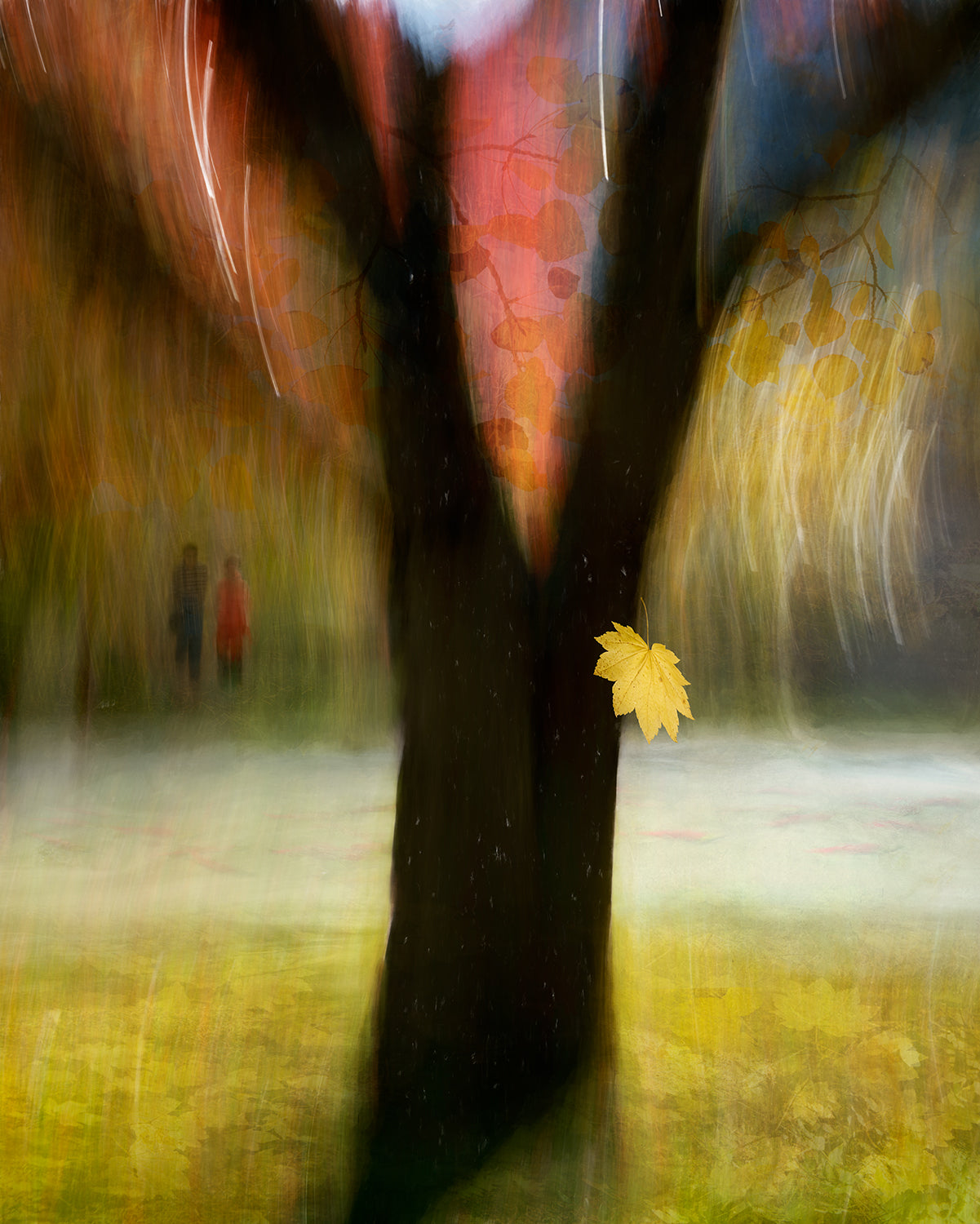 The sound of fall Poster och Canvastavla