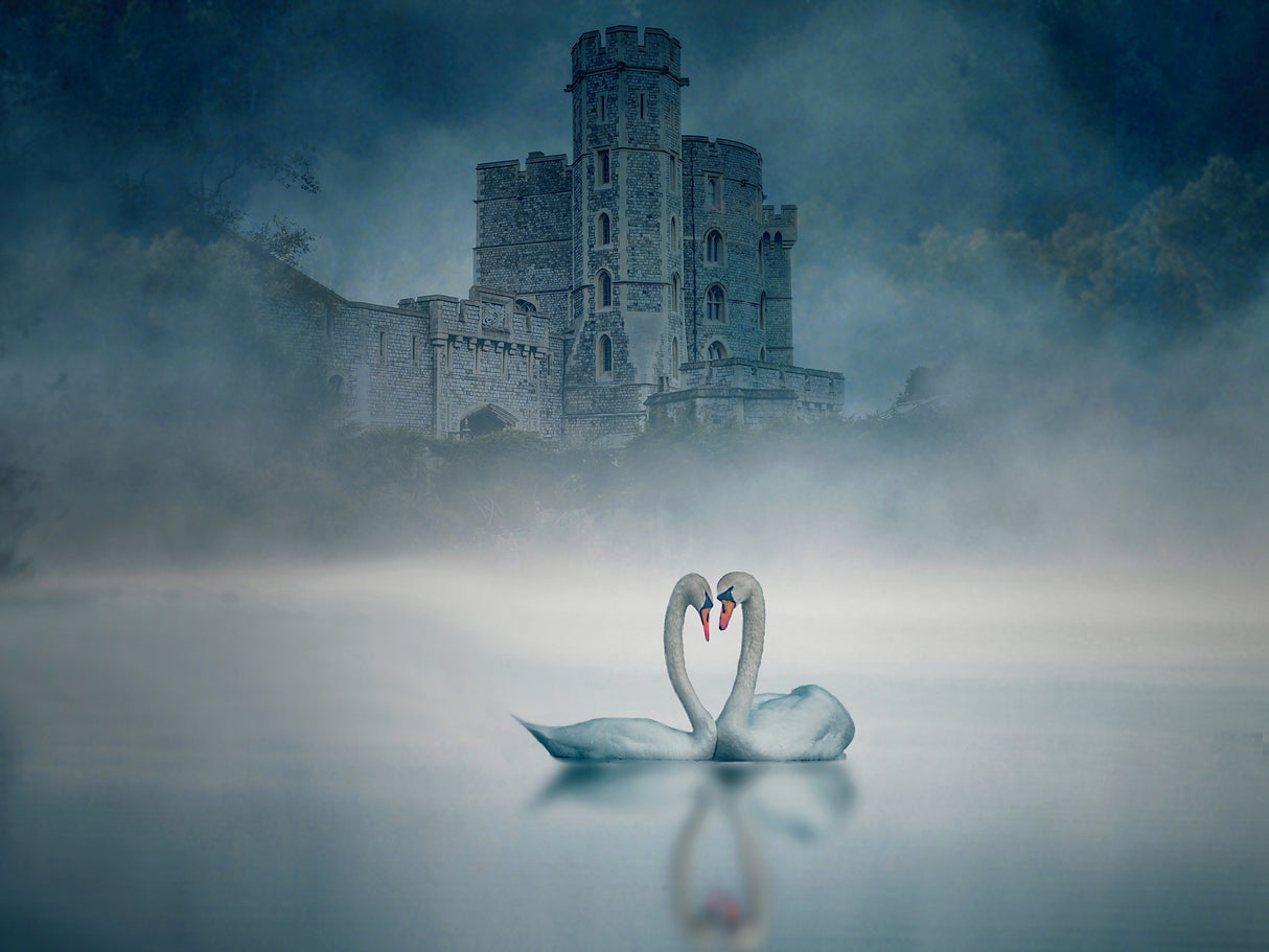 Windsor Castle and Swan Poster och Canvastavla