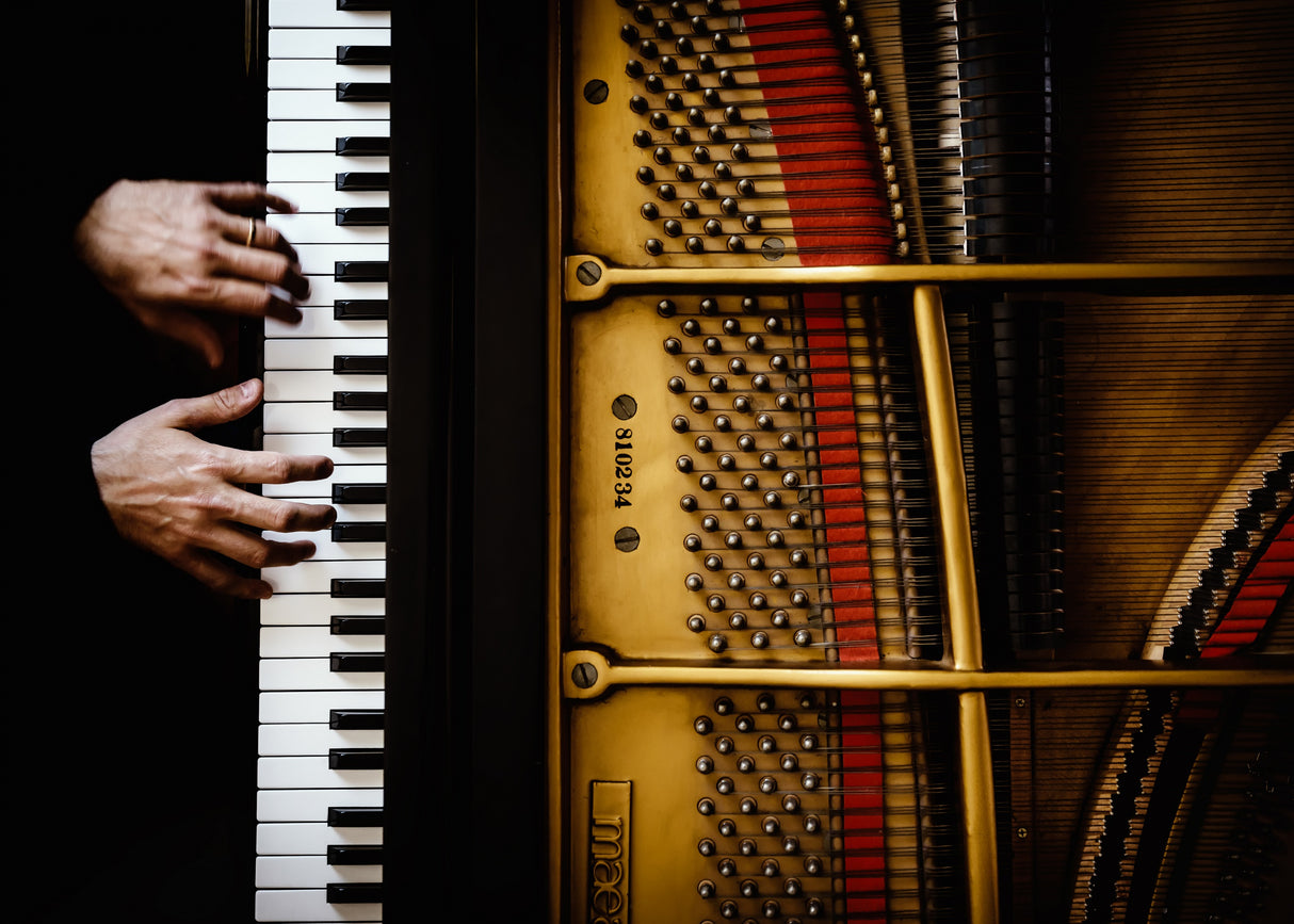 The pianist Poster och Canvastavla
