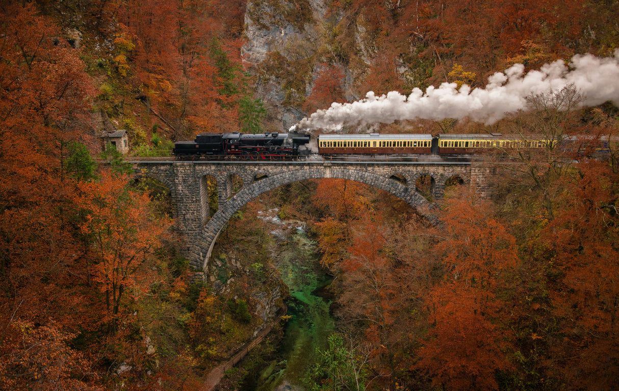 Museum train Poster och Canvastavla
