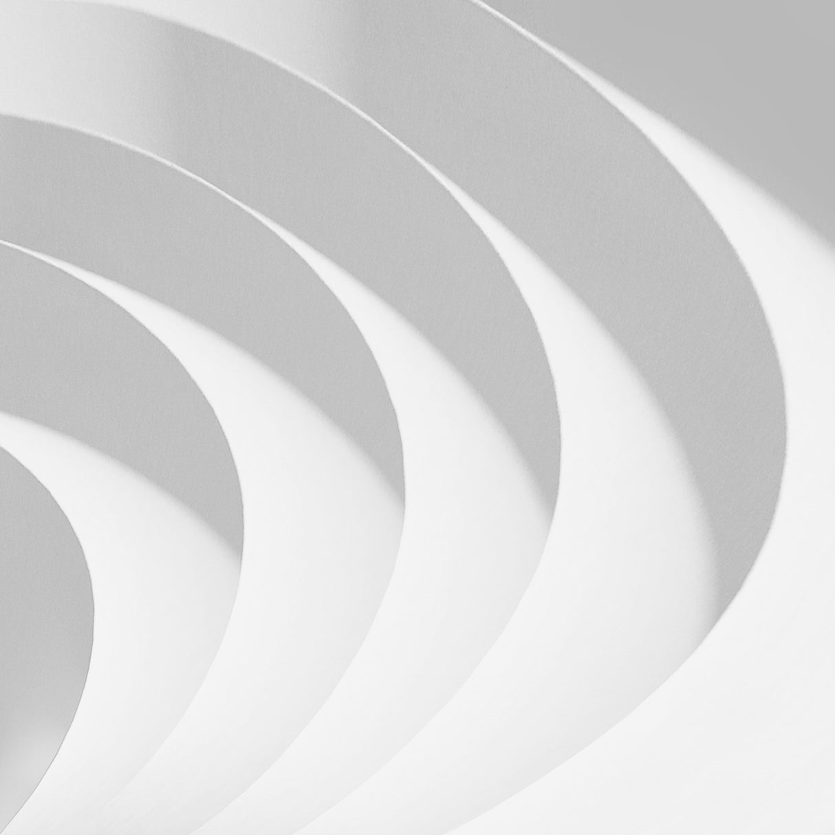 Curved Poster och Canvastavla