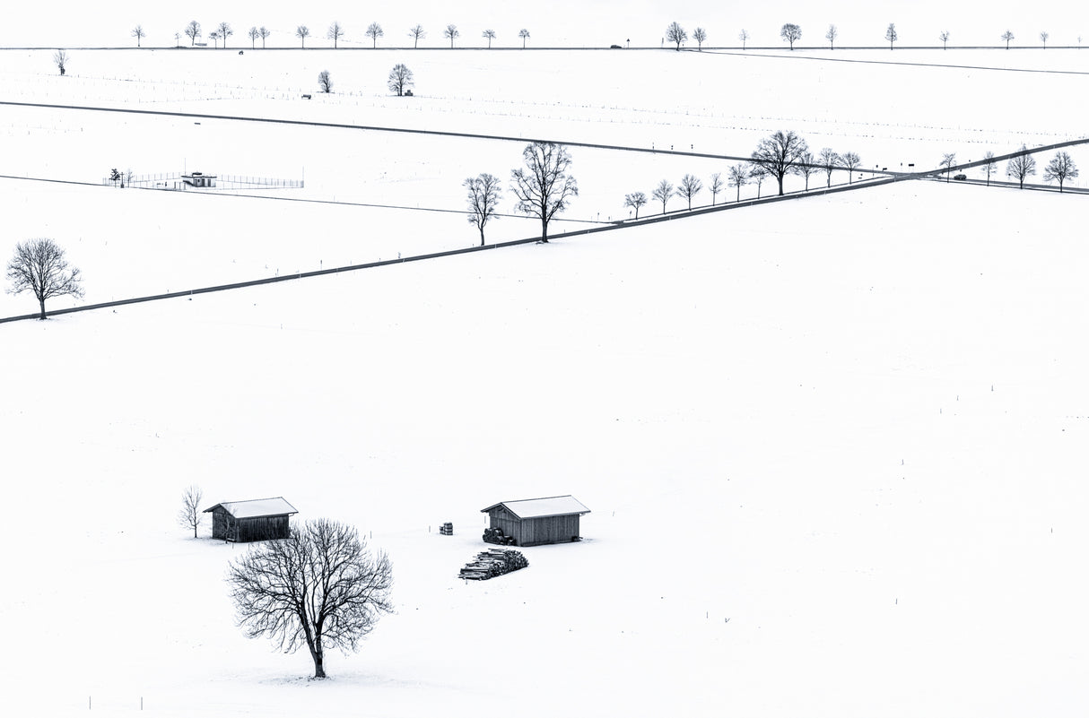 Field in Winter Poster och Canvastavla