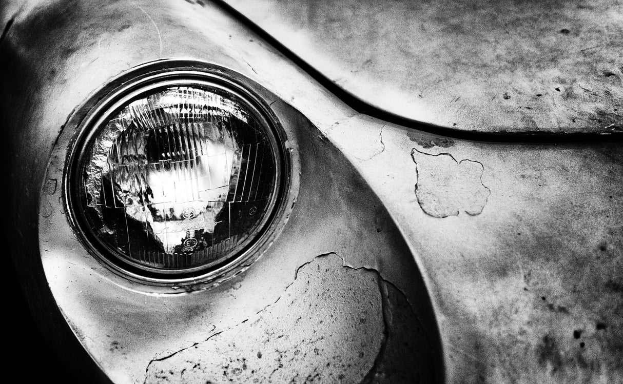 Dead Alfa R. Poster och Canvastavla