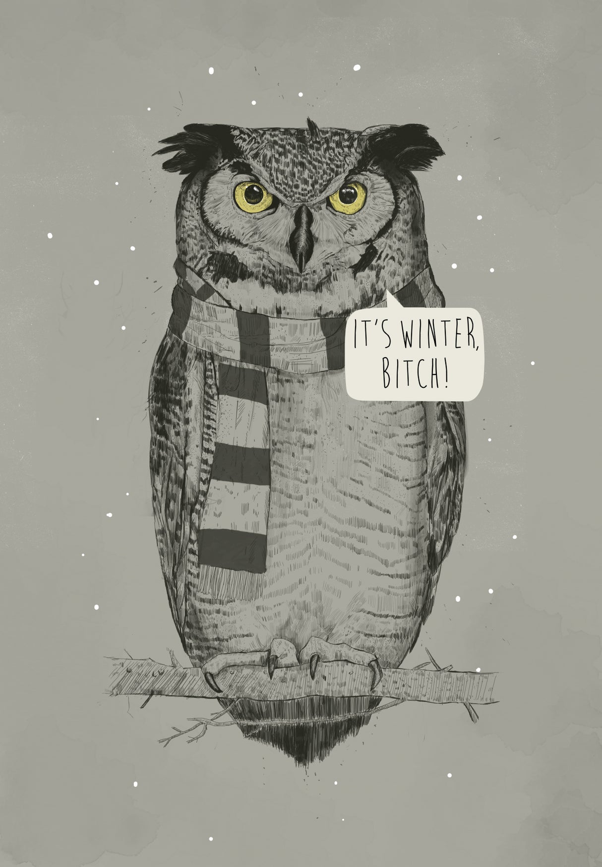 It's winter, bitch! Poster och Canvastavla