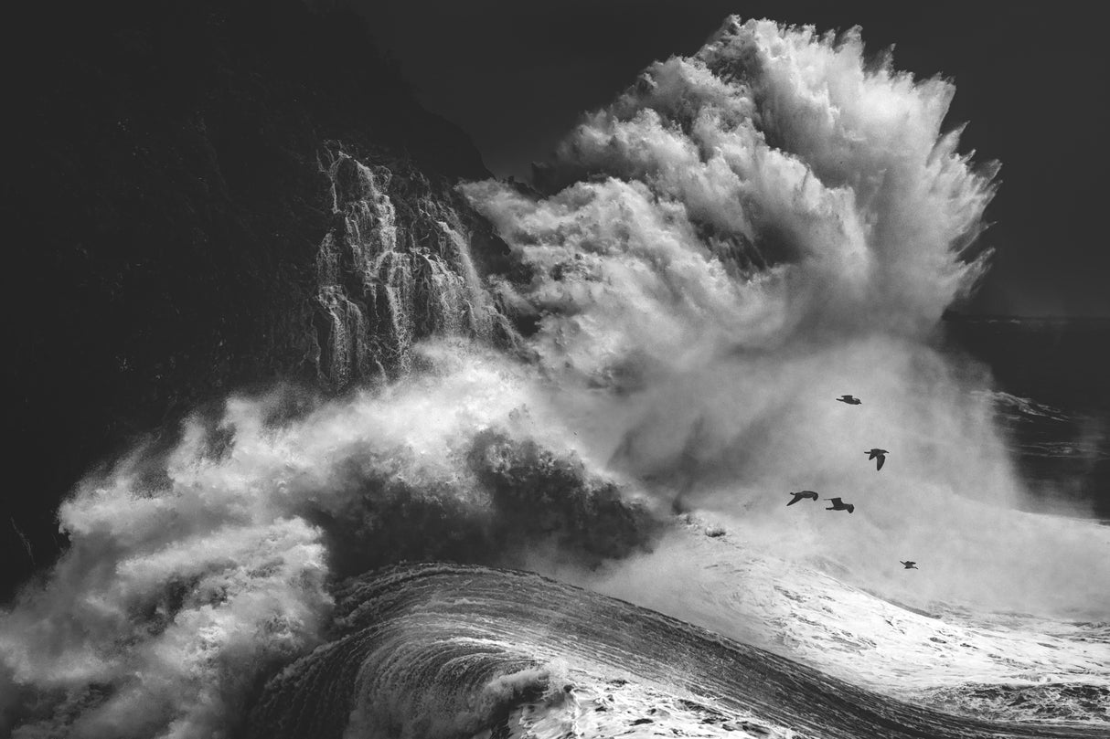 BIRDS IN THE STORM (Part 4) Poster och Canvastavla
