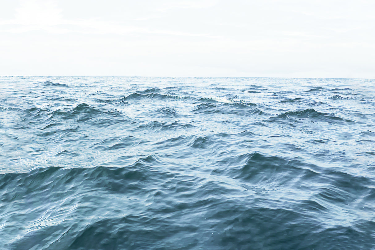 Wavy Horizon Poster och Canvastavla