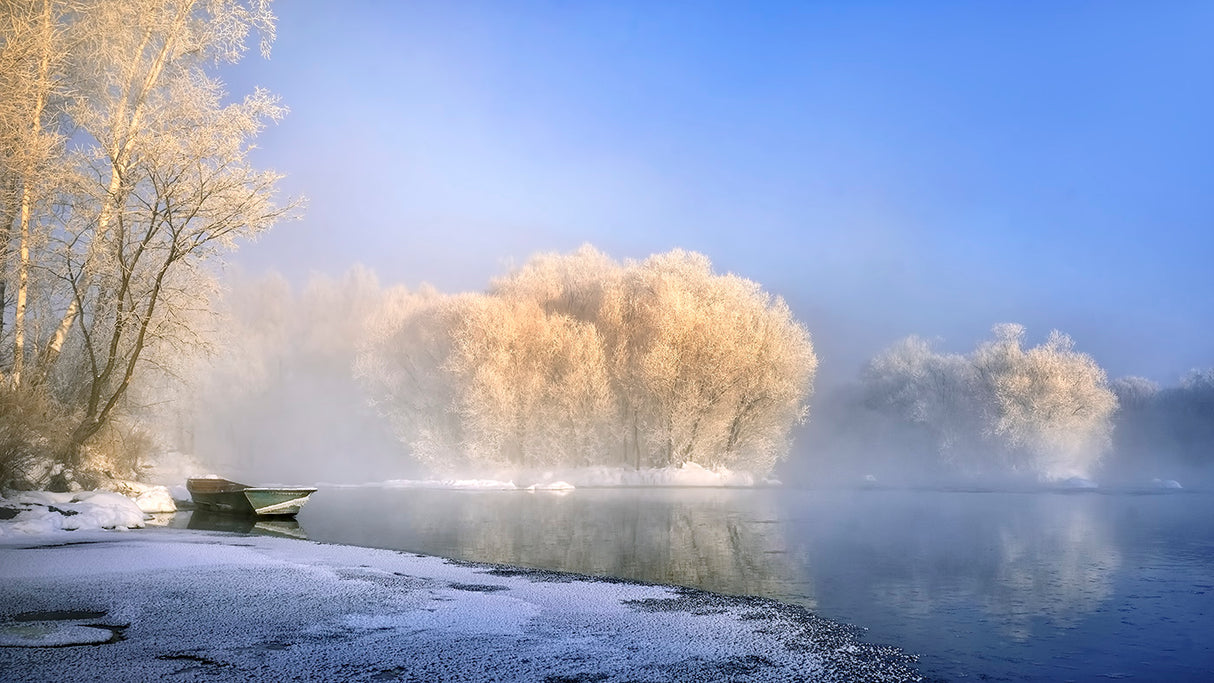 Morning fog and rime in Kuerbin Poster och Canvastavla