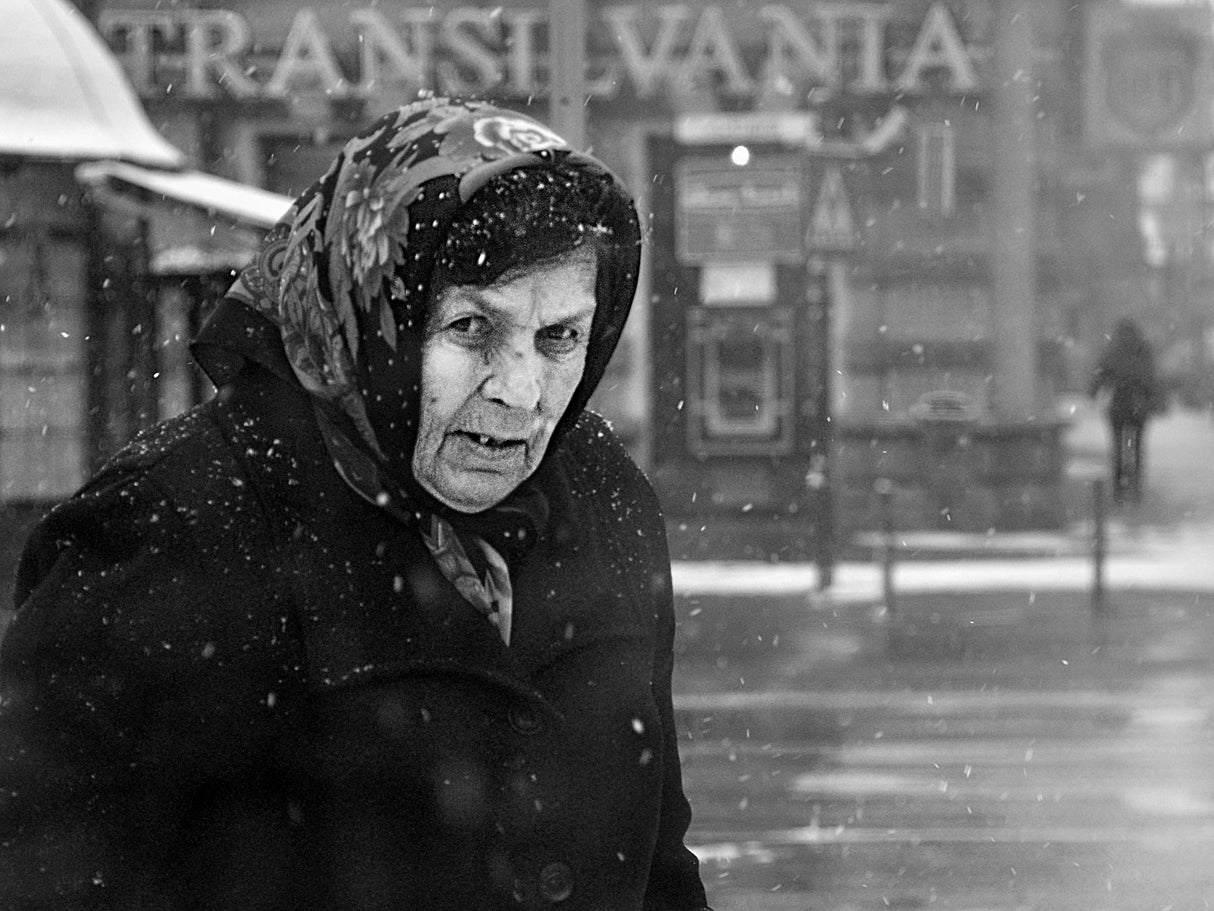 winter passengers Poster och Canvastavla