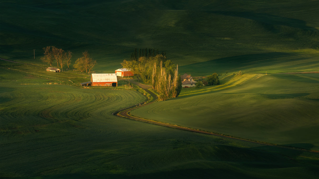 A Palouse Farm Poster och Canvastavla