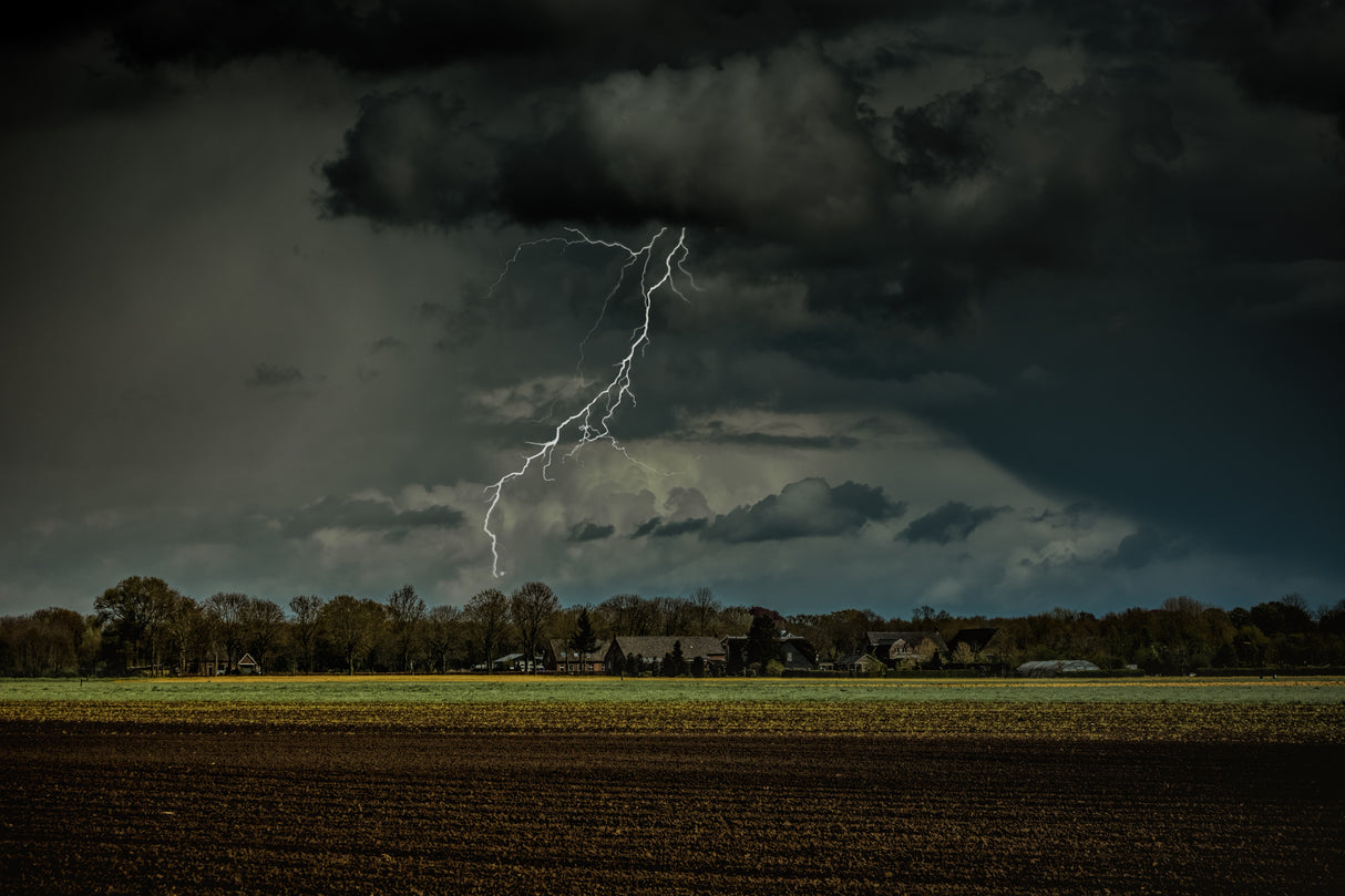 Lightning Poster och Canvastavla