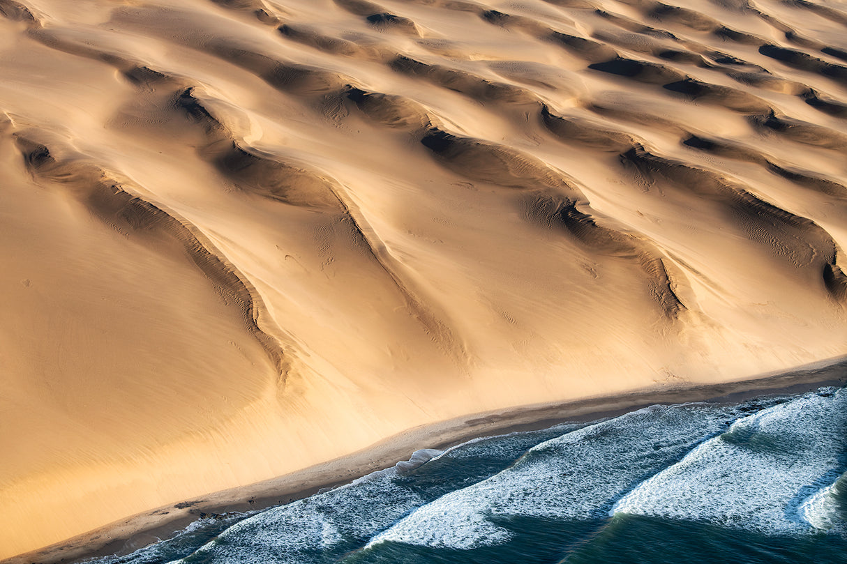 Namib desert Poster och Canvastavla