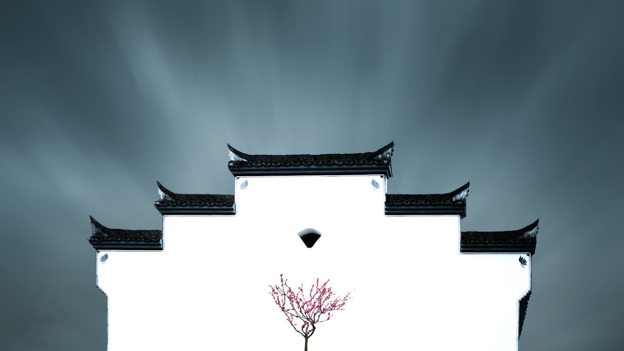 Spring in China Poster och Canvastavla