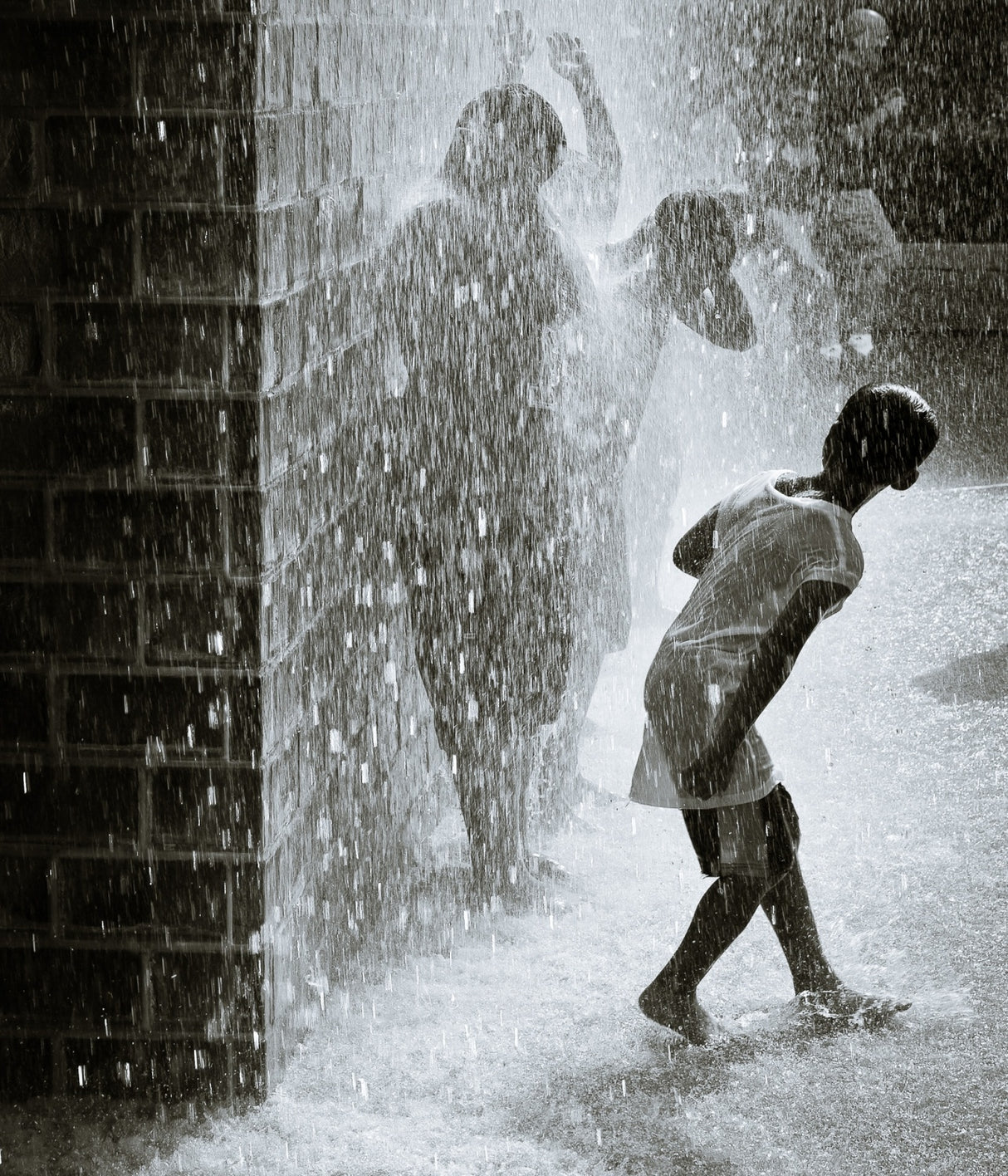 Water play Poster och Canvastavla