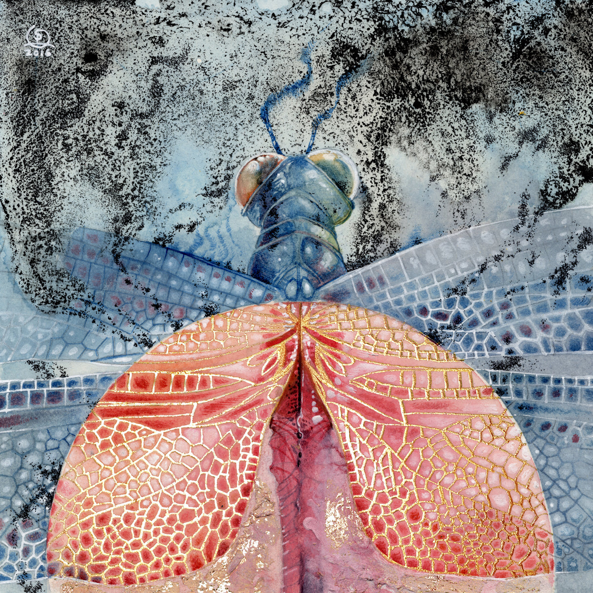Dragonfly 1 Poster och Canvastavla
