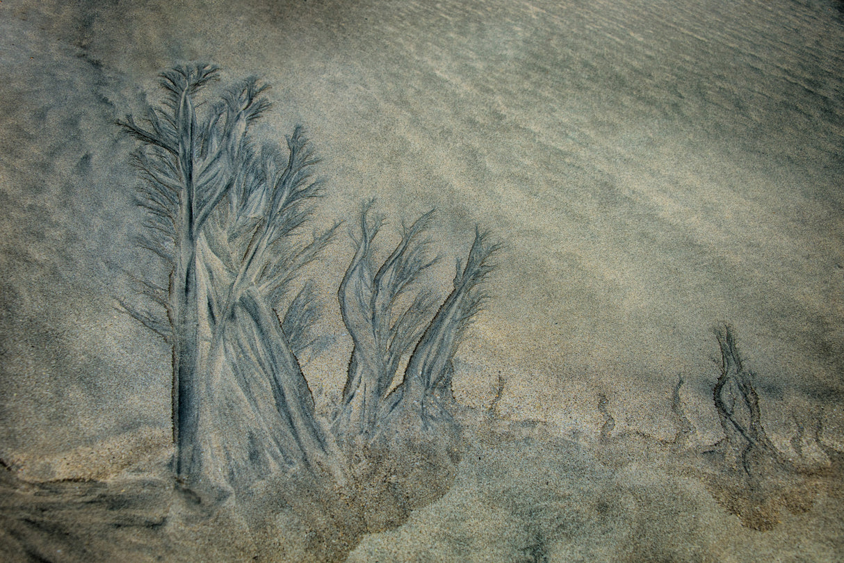 Landscape of sand Poster och Canvastavla