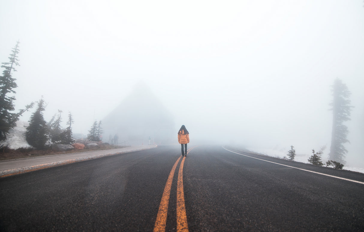 The road less travelled Poster och Canvastavla