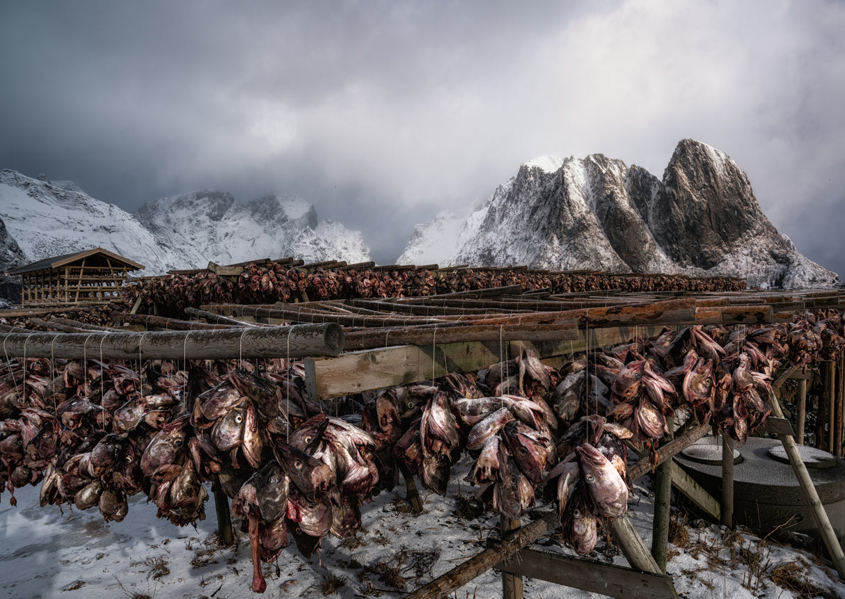 Taste of Norway Poster och Canvastavla