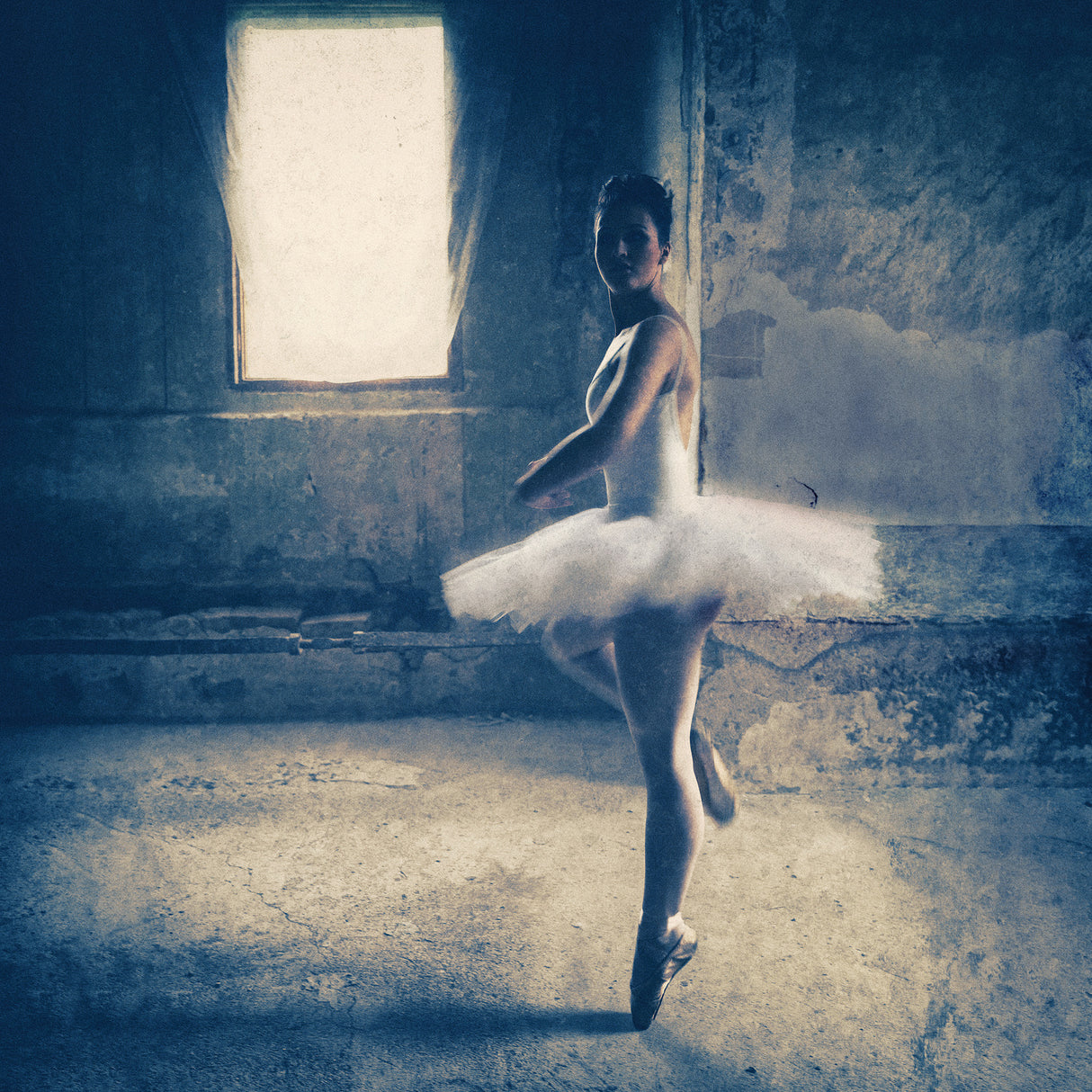 dance audition Poster och Canvastavla