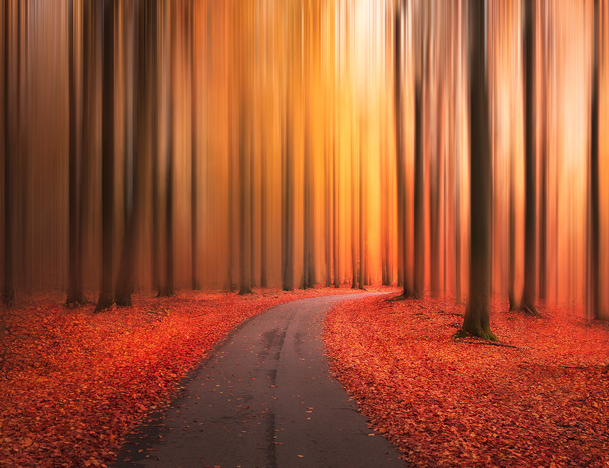 Path to unknown Poster och Canvastavla
