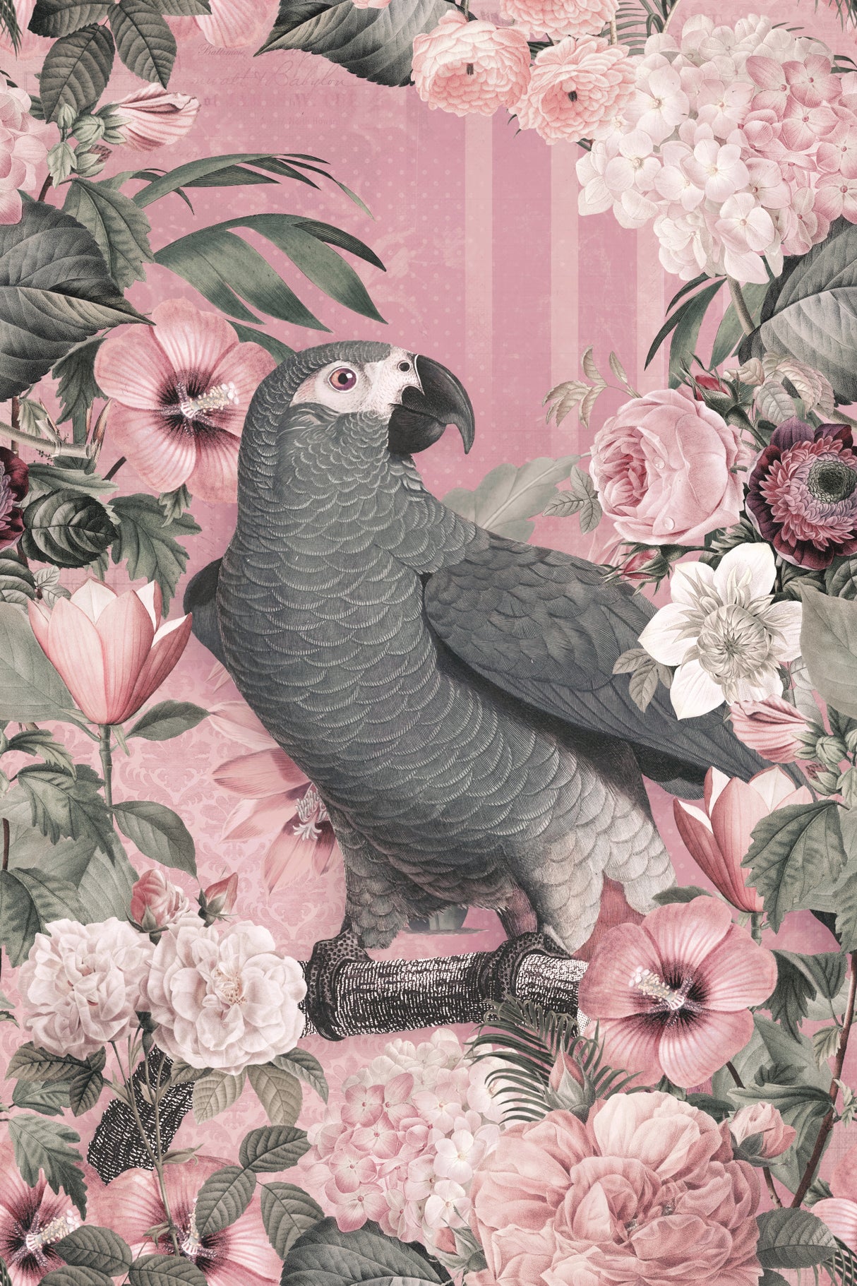The Parrots Paradise Garden 2 Pastel Pink Poster och Canvastavla