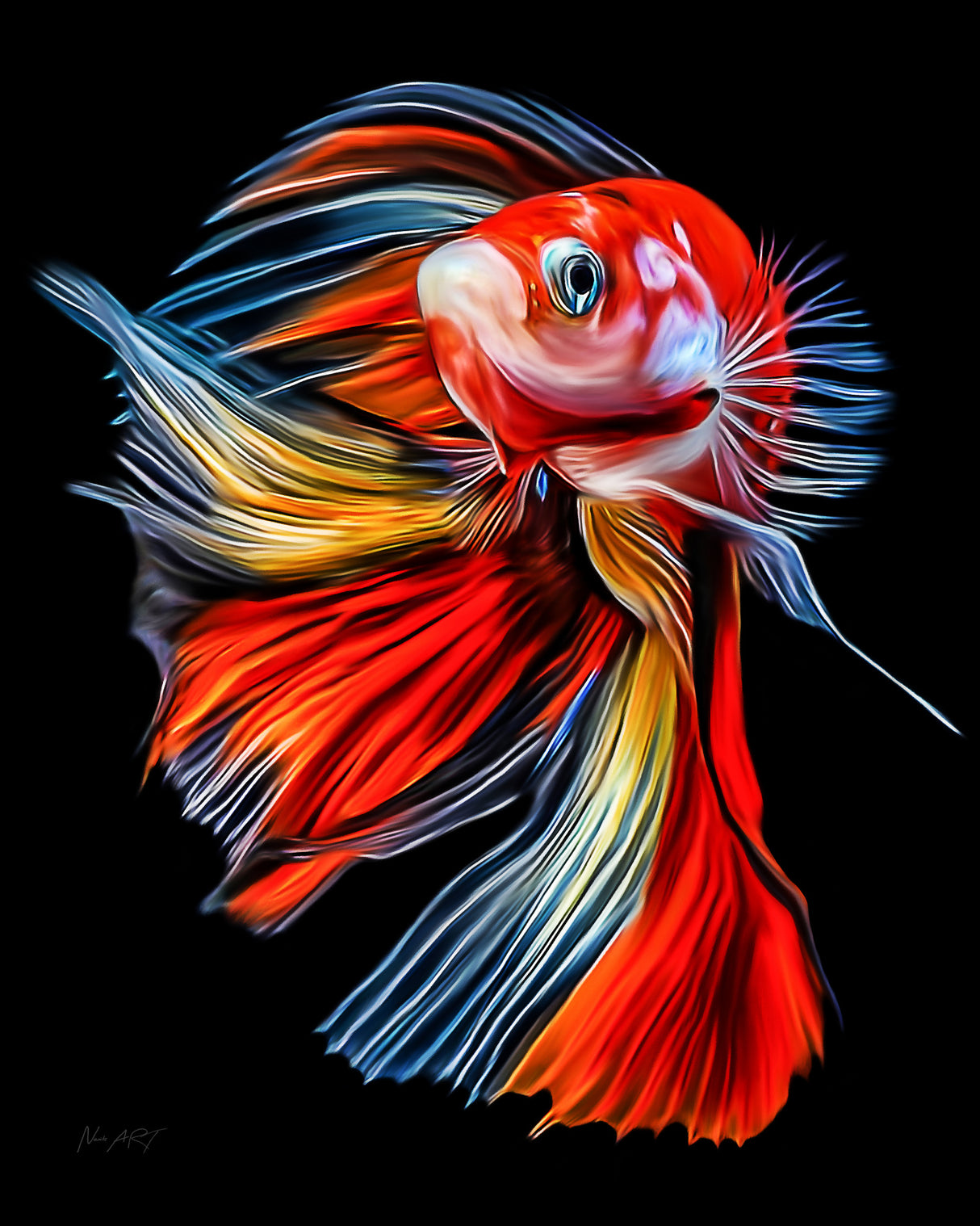 Colorful Fish Poster och Canvastavla
