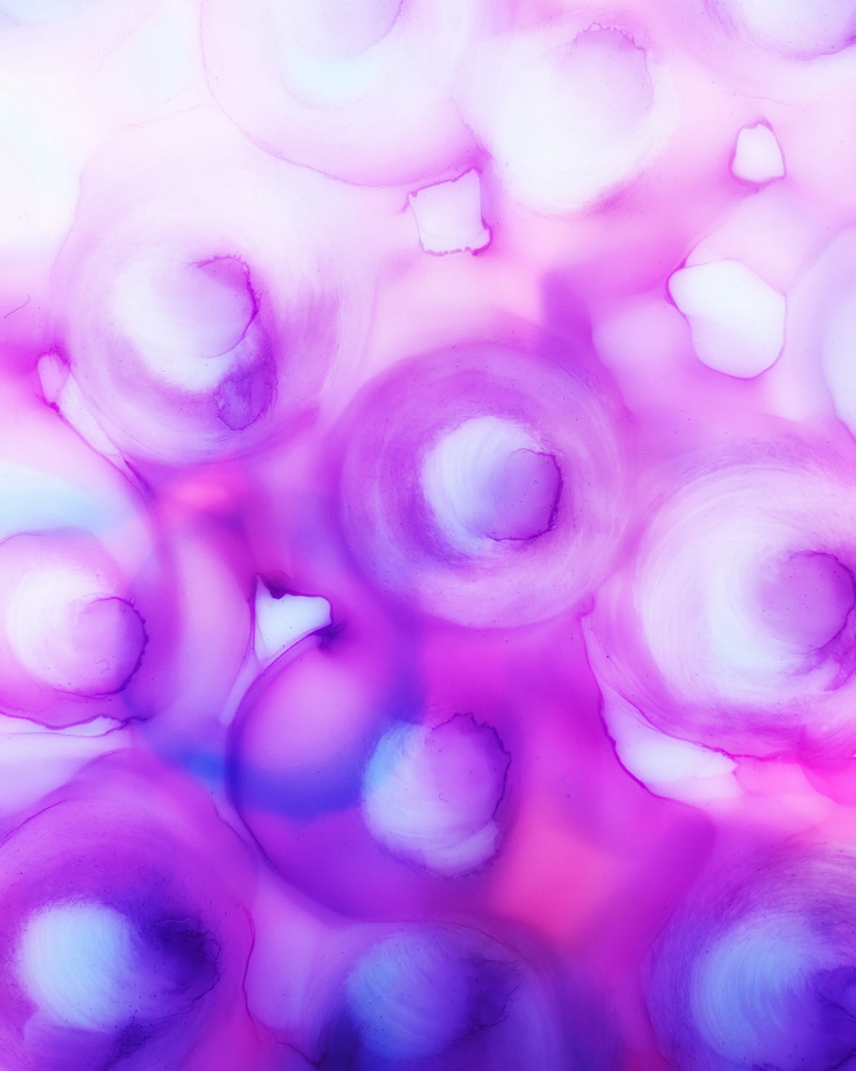 Pocket Full of Posies Poster och Canvastavla