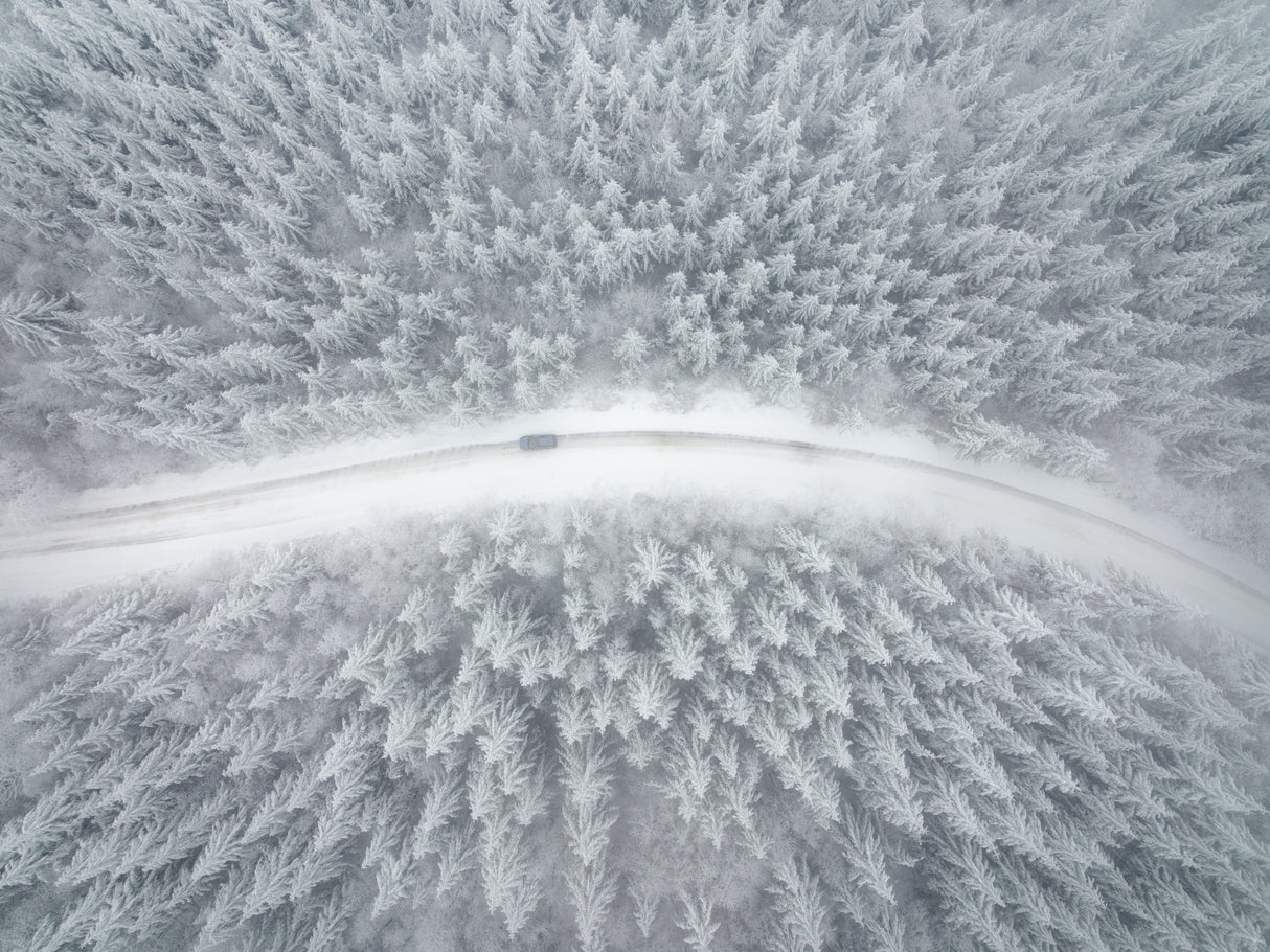 Winter Wonderland Poster och Canvastavla