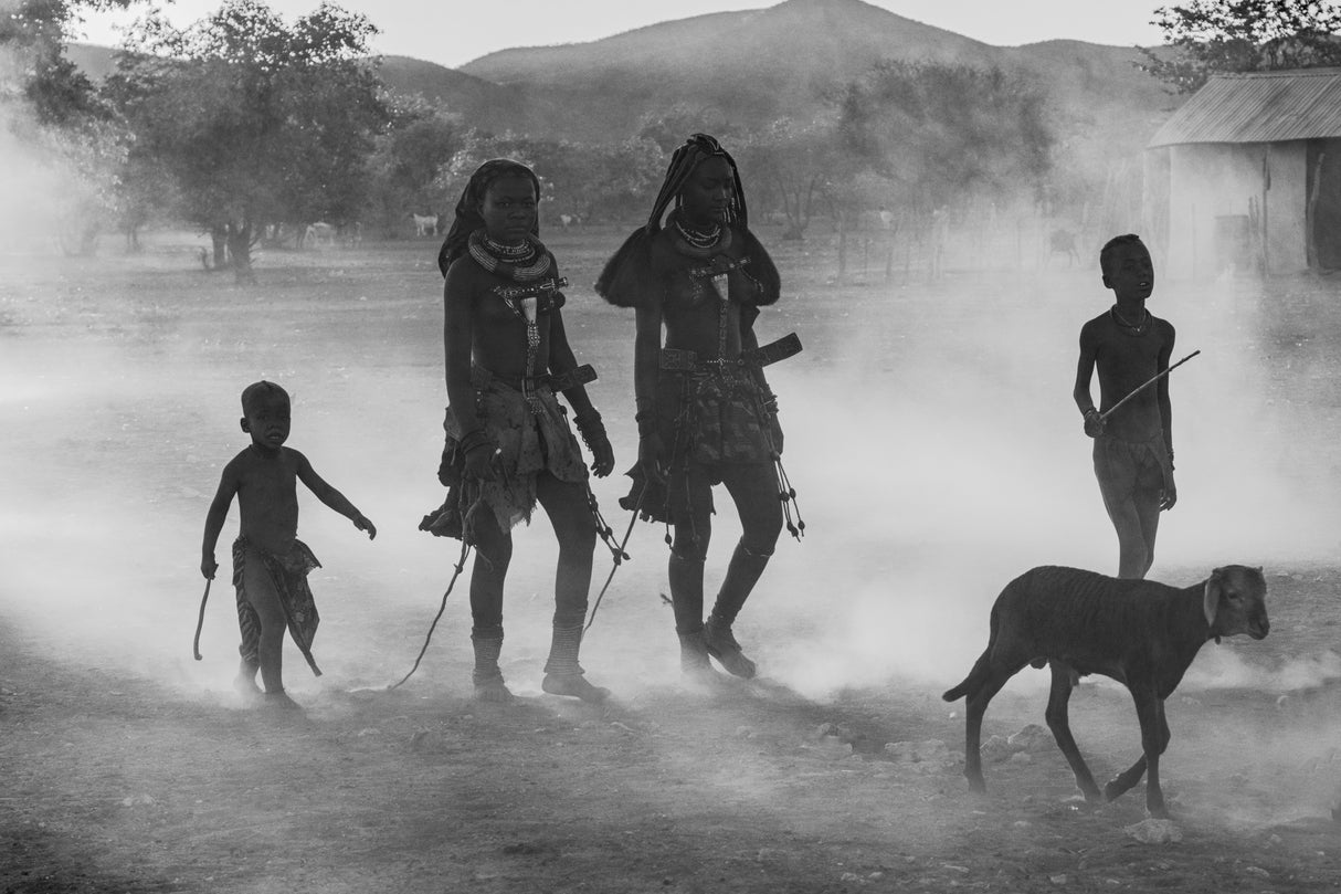 Simba children return from grazing Poster och Canvastavla
