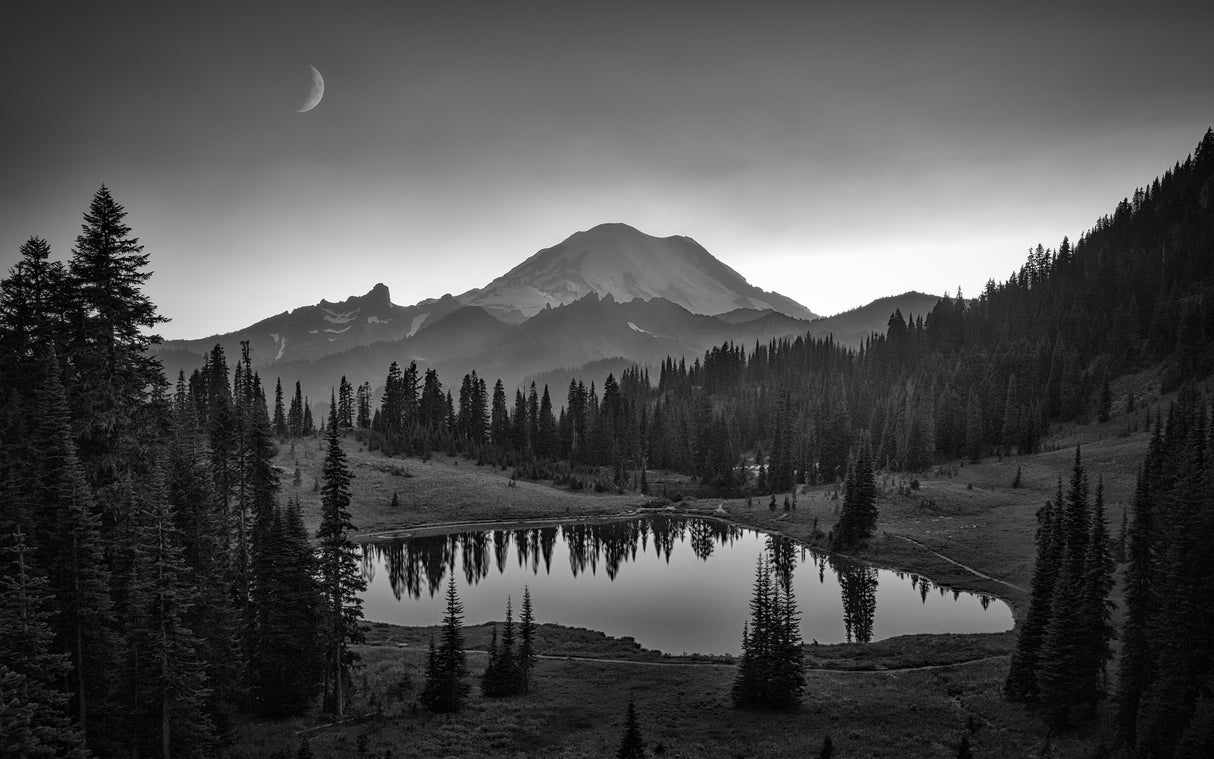 Mt. Rainier Poster och Canvastavla