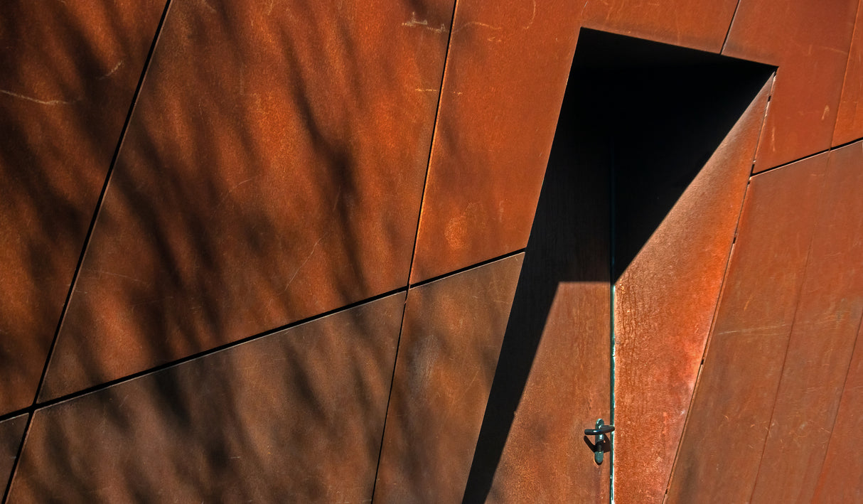 shadows over a closed door Poster och Canvastavla