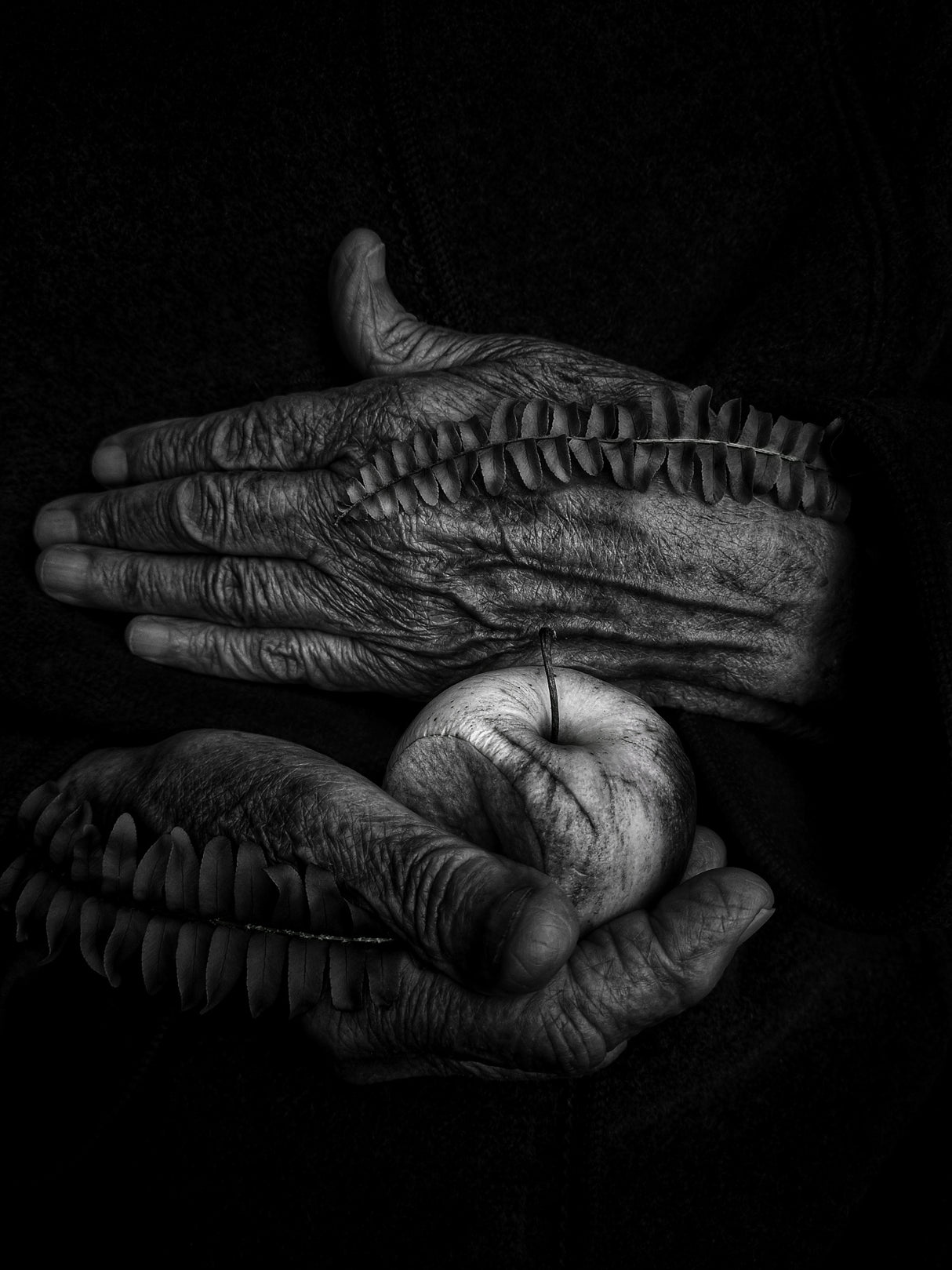 A wound Poster och Canvastavla