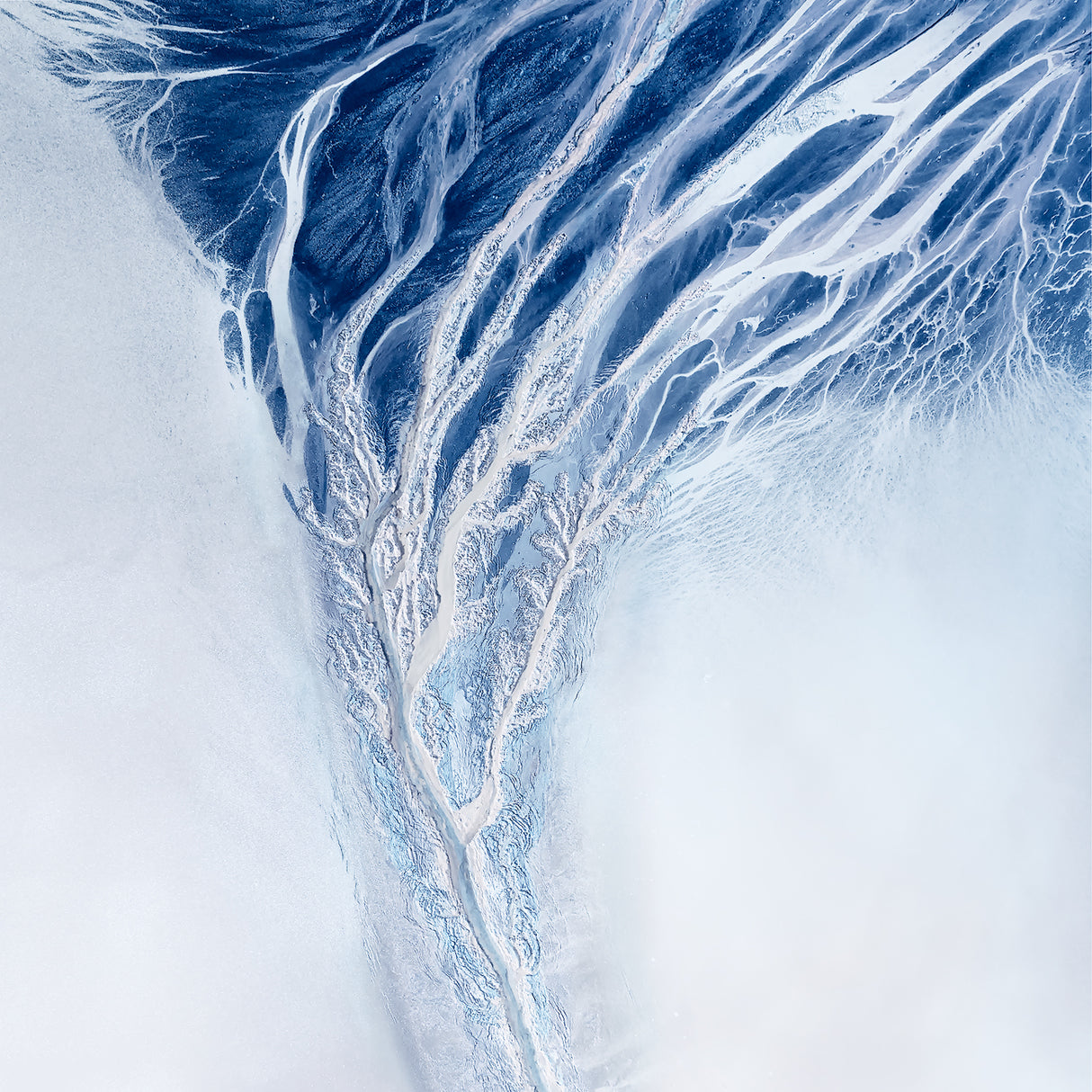 Nature Abstract Poster och Canvastavla