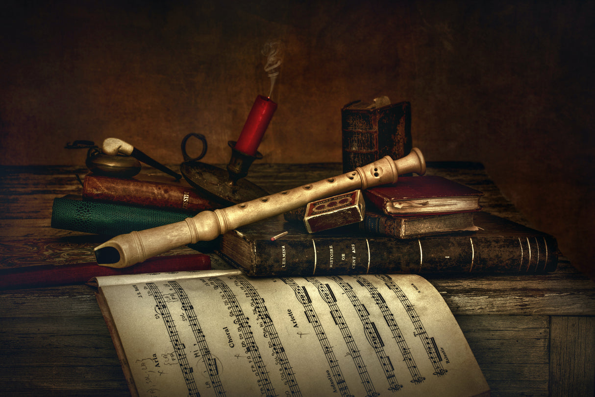 Soprano Recorder Poster och Canvastavla