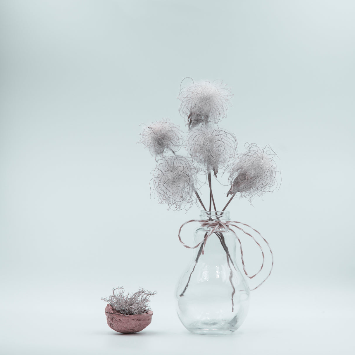 Fluffy White Poster och Canvastavla